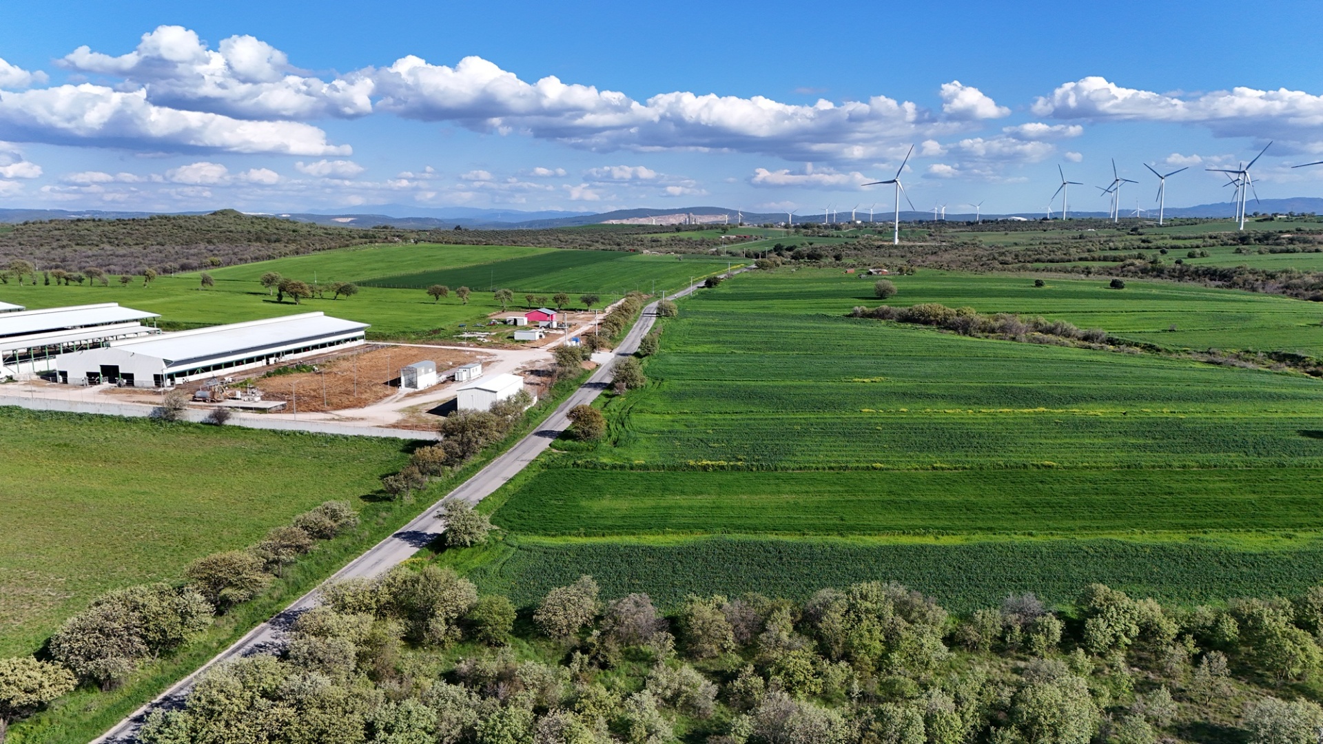 ÇANAKKALE EZİNE ÜVECİK KÖYÜNDE ASFALT YOLA CEPHELİ 16.268 M2 TARLAMIZ SATILIKTIR - ÇANAKKALE EZİNE ÜVECİK KÖYÜ - undefined undefined - Thumbnail