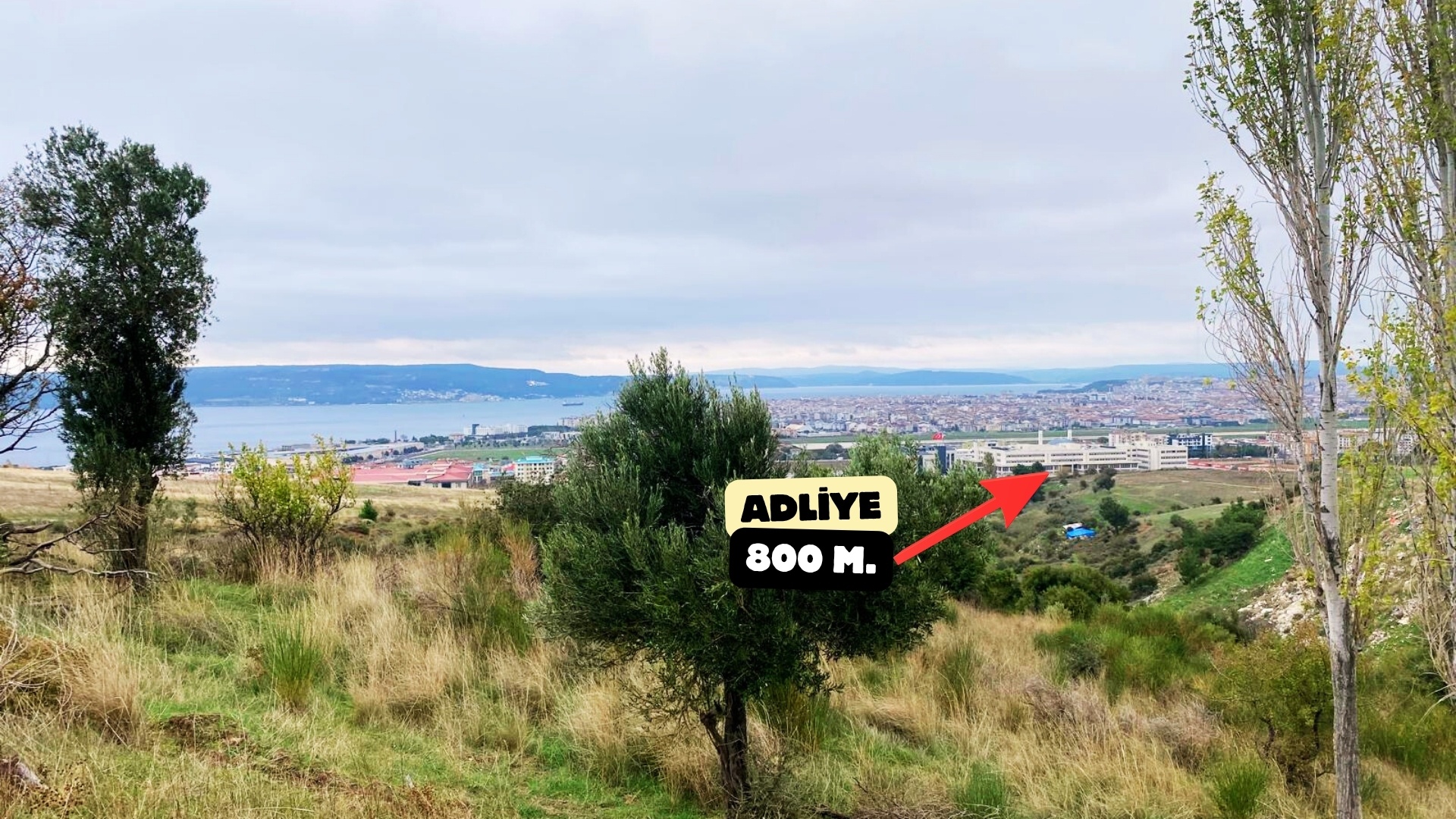 SARI BÖLGEDE 16.022/2 m² YATIRIM FIRSATI - ÇANAKKALE MERKEZ SARICAELİ KÖYÜ - undefined undefined - Thumbnail