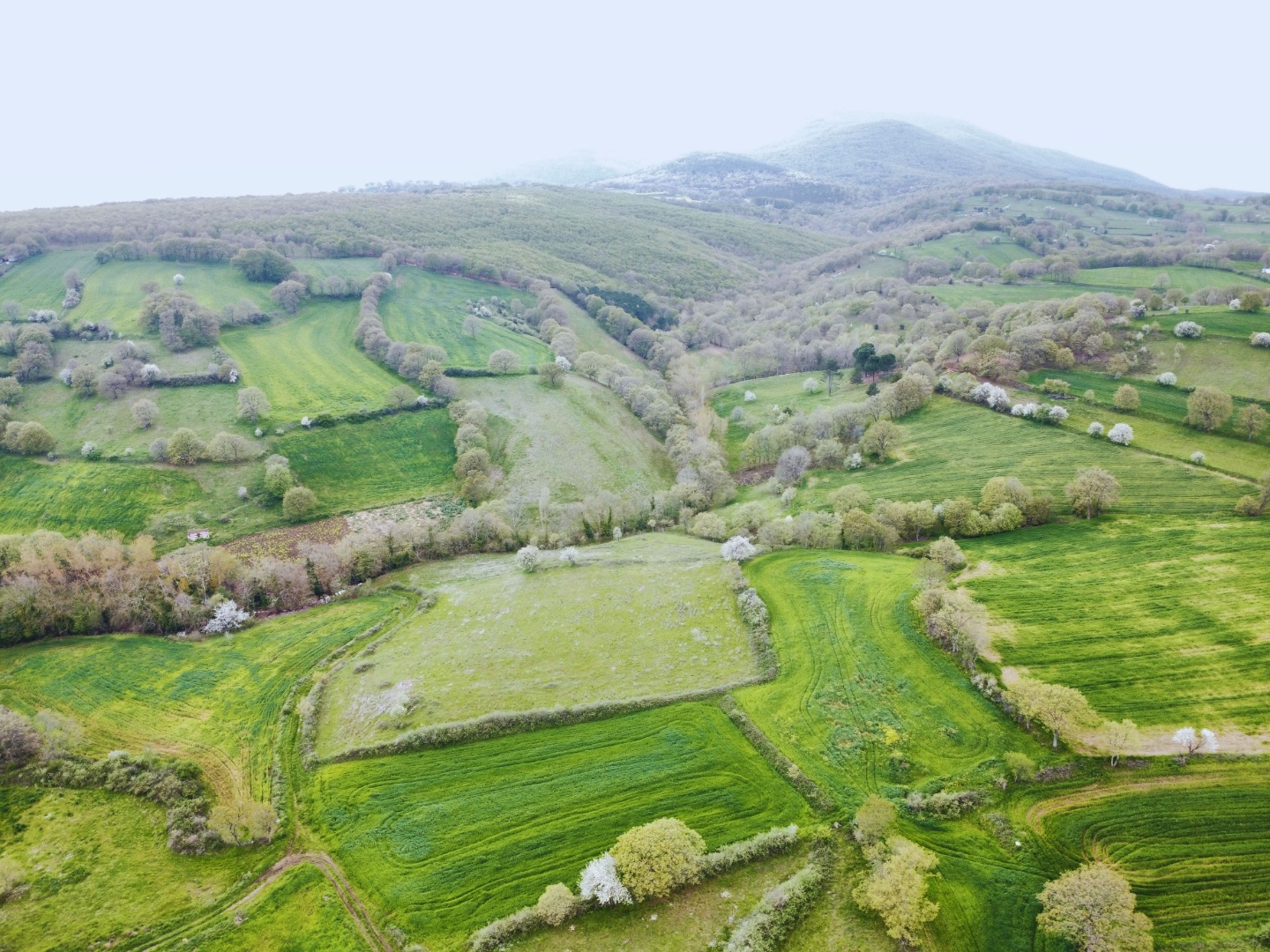 ÇANAKKALE ÇAN KARADAĞ YOLA CEPHELİ 13.166 M2 TARLA - ÇANAKKALE ÇAN KARADAĞ KÖYÜ - undefined undefined - Thumbnail