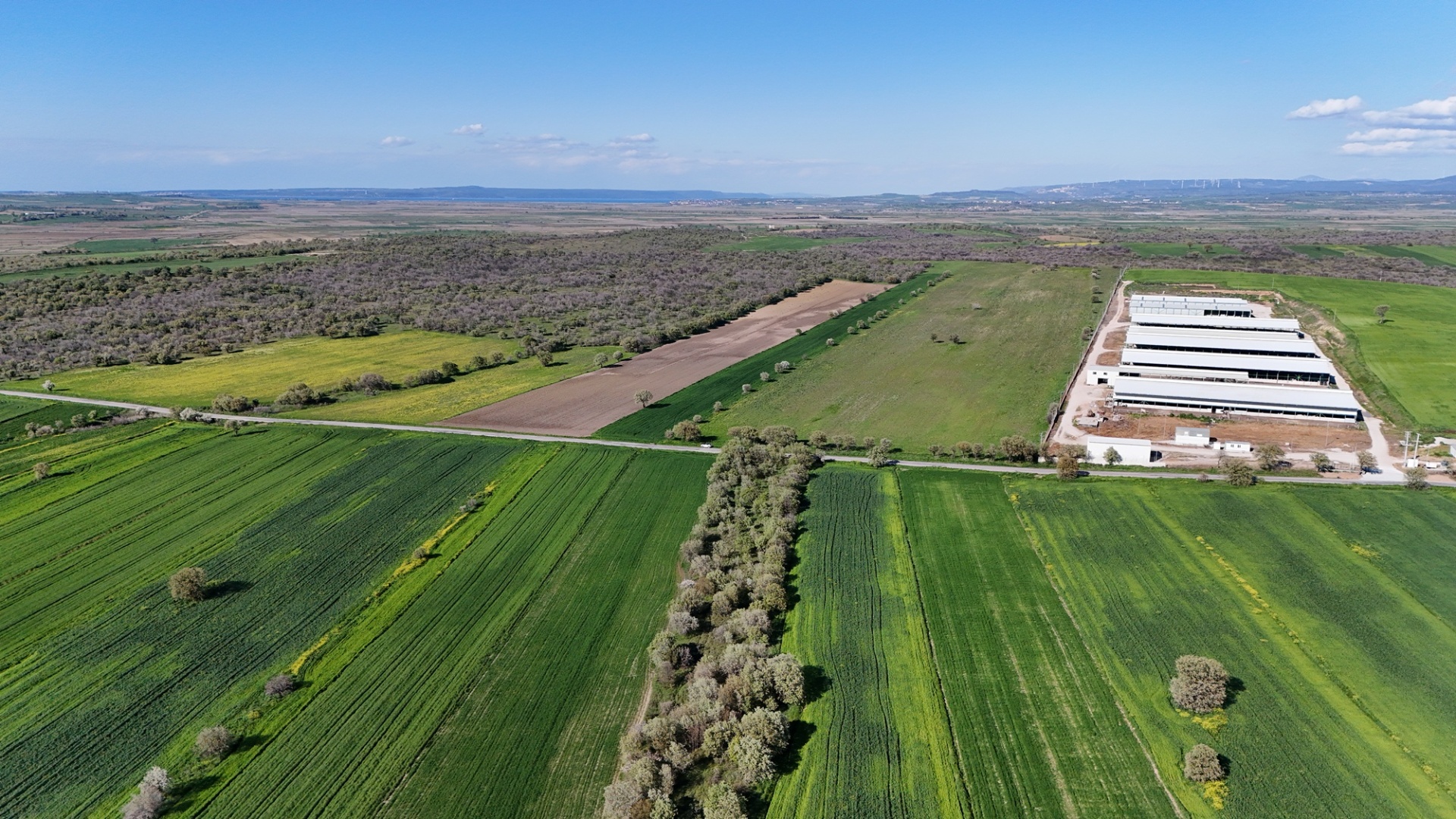 ÇANAKKALE EZİNE ÜVECİK KÖYÜNDE ASFALT YOLA CEPHELİ 16.268 M2 TARLAMIZ SATILIKTIR - ÇANAKKALE EZİNE ÜVECİK KÖYÜ - undefined undefined - Thumbnail