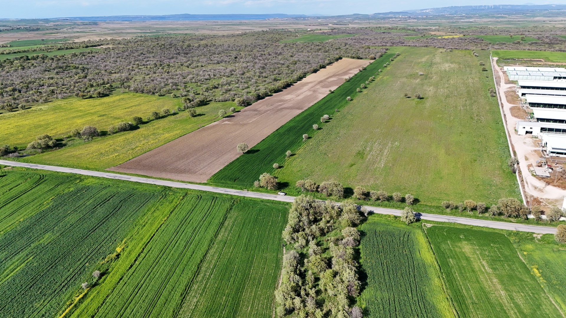 ÇANAKKALE EZİNE ÜVECİK KÖYÜNDE ASFALT YOLA CEPHELİ 16.268 M2 TARLAMIZ SATILIKTIR - ÇANAKKALE EZİNE ÜVECİK KÖYÜ - undefined undefined - Thumbnail