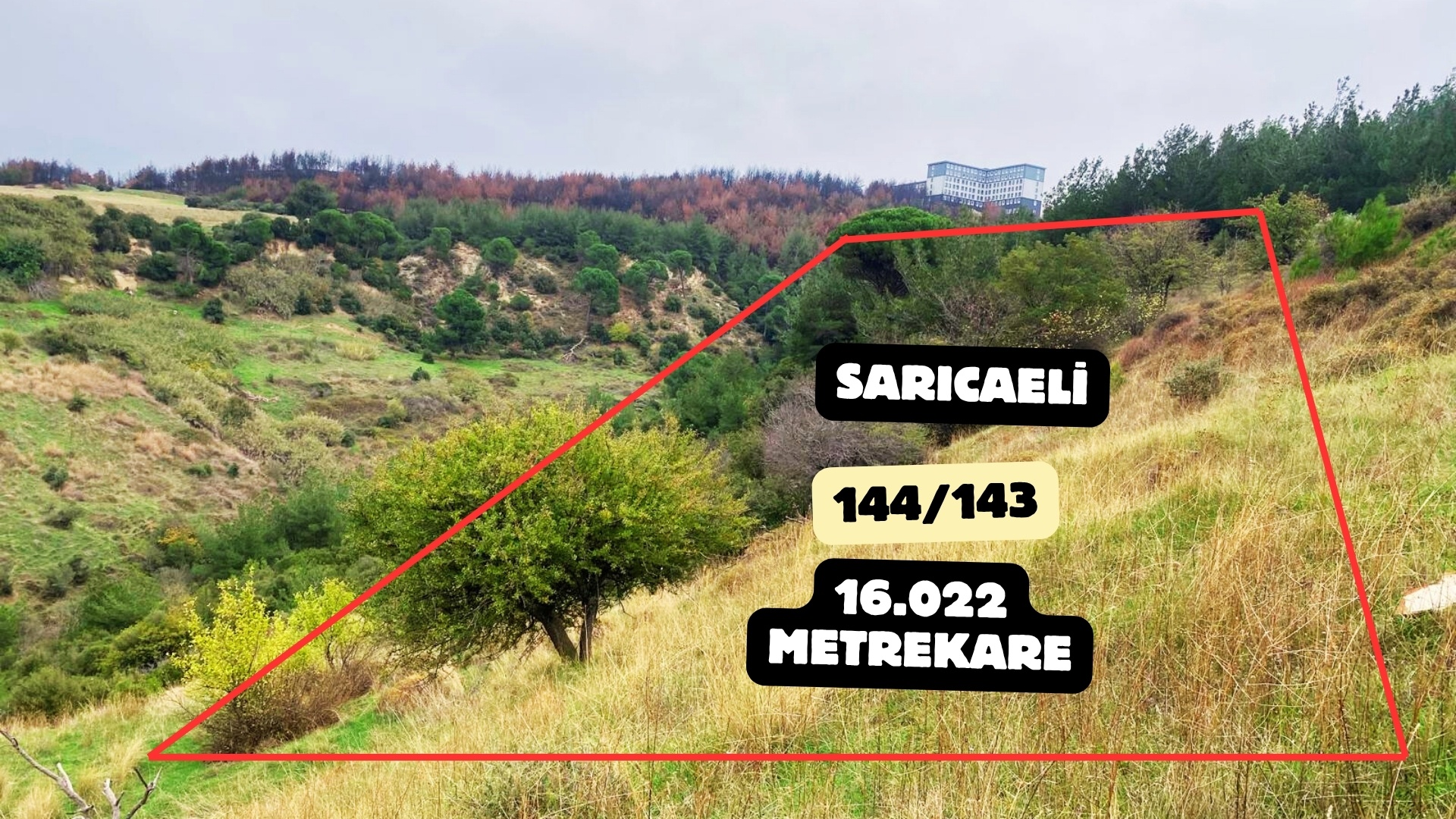 SARI BÖLGEDE 16.022/2 m² YATIRIM FIRSATI - ÇANAKKALE MERKEZ SARICAELİ KÖYÜ - undefined undefined - Thumbnail