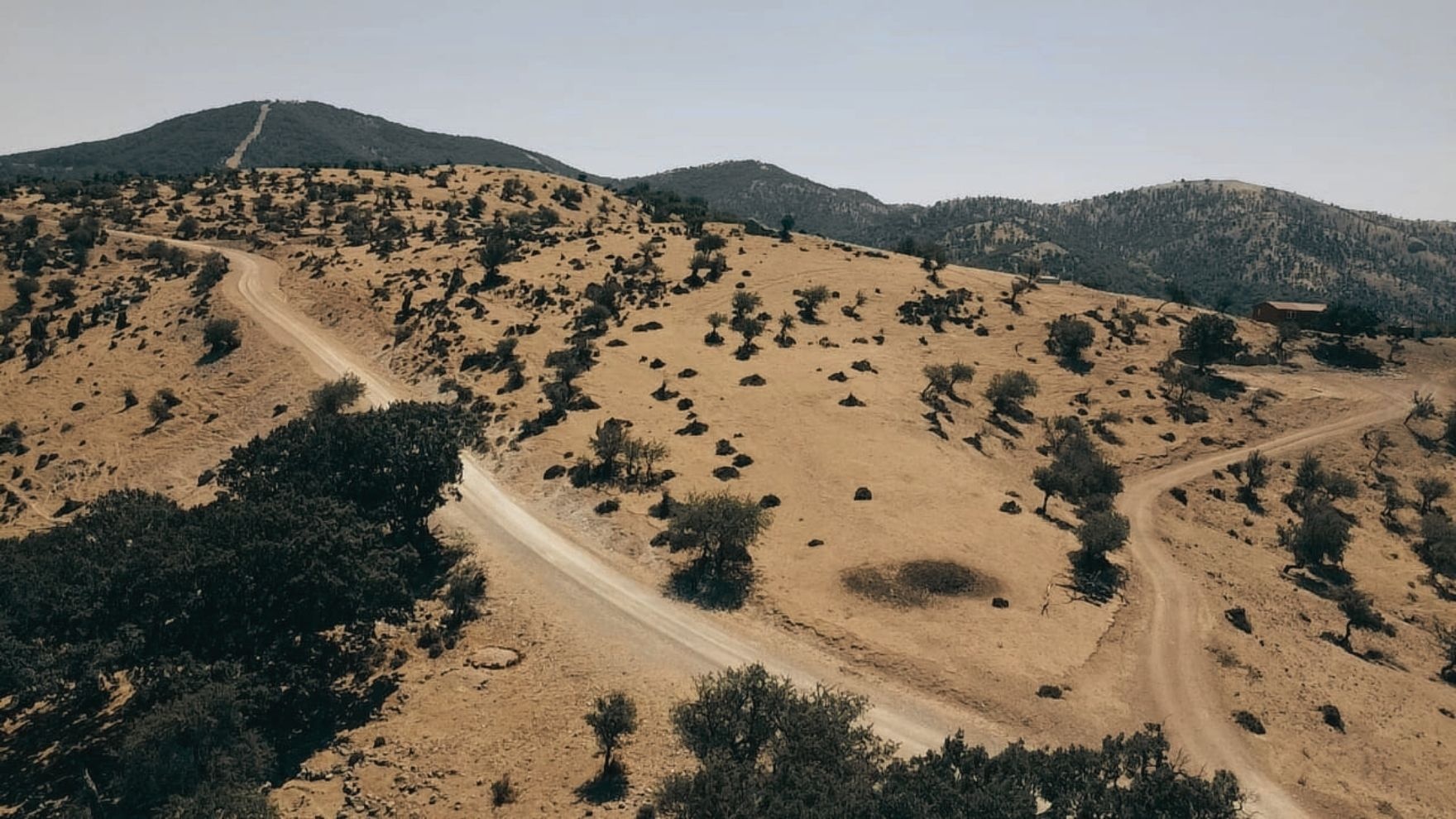 ÇANAKKALE AYVACIK KESTANELİK KÖYÜ 9.324 M2 SATILIK TARLA - ÇANAKKALE AYVACIK KESTANELİK KÖYÜ, KÜÇÜK KESTANELİK MEVKİİ - undefined undefined - Thumbnail