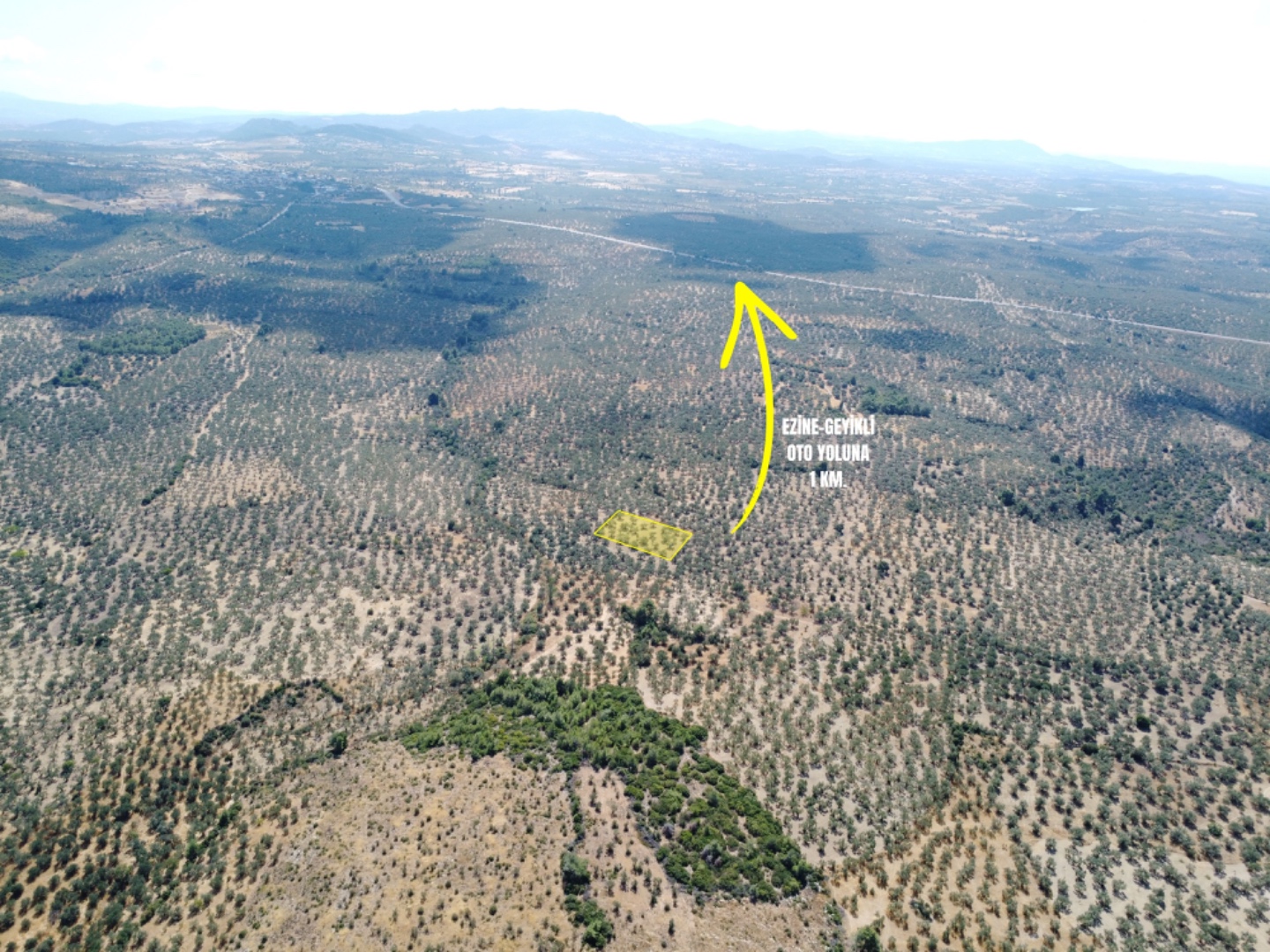  GEYİKLİ DARIKÖY'DE 4.933m² YATIRIMLIK ZEYTİNLİK - ÇANAKKALE EZİNE DARIKÖY KÖYÜ - undefined undefined - Thumbnail