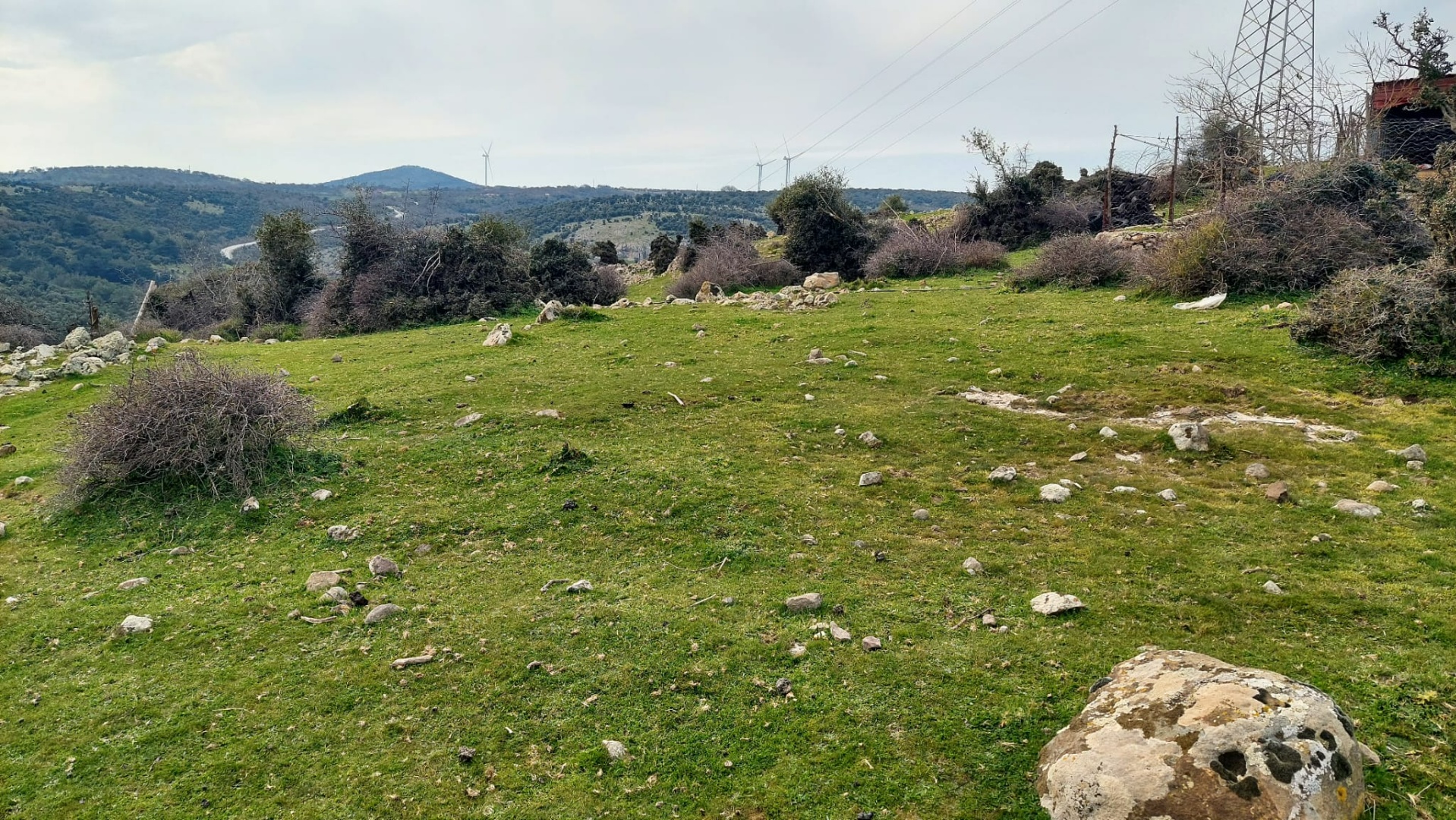 Çanakkale Ayvacık Hamdibey’de Satılık İmarlı Arsa - ÇANAKKALE AYVACIK HAMDİBEY MAHALLESİ - undefined undefined - Thumbnail