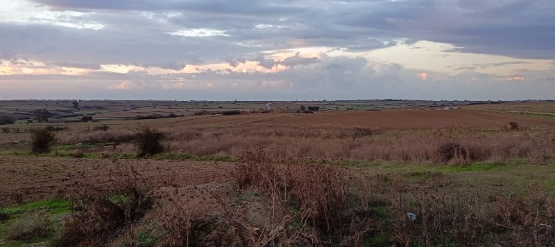 Tekirdağ Kapaklı Karaağaç 1302 m2 Konut İmarlı Satılık Arsa - TEKİRDAĞ KAPAKLI KARAAĞAÇ MAHALLESİ - undefined undefined - Thumbnail