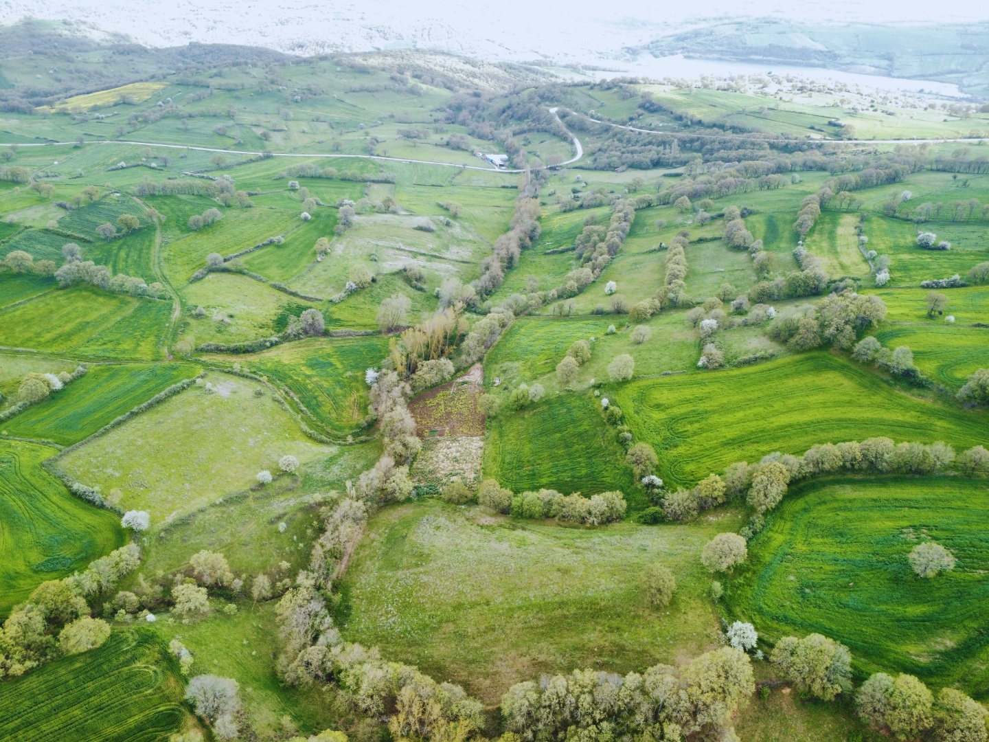 ÇANAKKALE ÇAN KARADAĞ YOLA CEPHELİ 13.166 M2 TARLA - ÇANAKKALE ÇAN KARADAĞ KÖYÜ - undefined undefined - Thumbnail