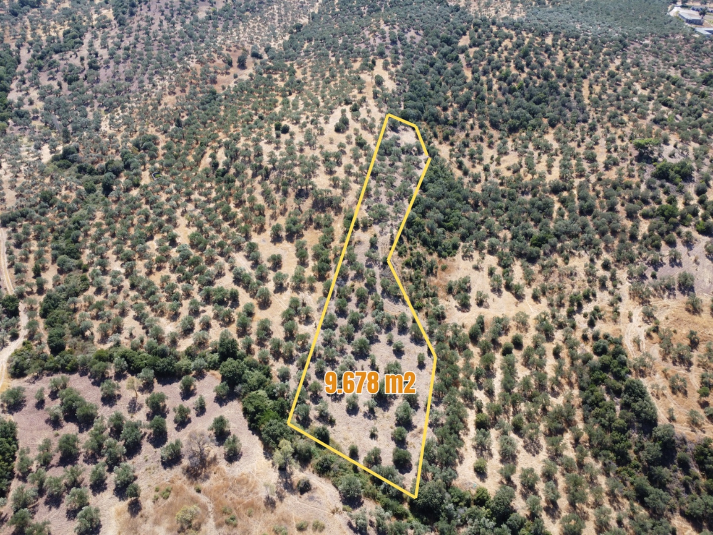 EZİNE KEMALLI ODUNLUK İSKELESİ MEVKİİNDE 9.678m² YATIRIMLIK ZEYTİNLİK - ÇANAKKALE EZİNE KEMALLI KÖYÜ - undefined undefined - Thumbnail