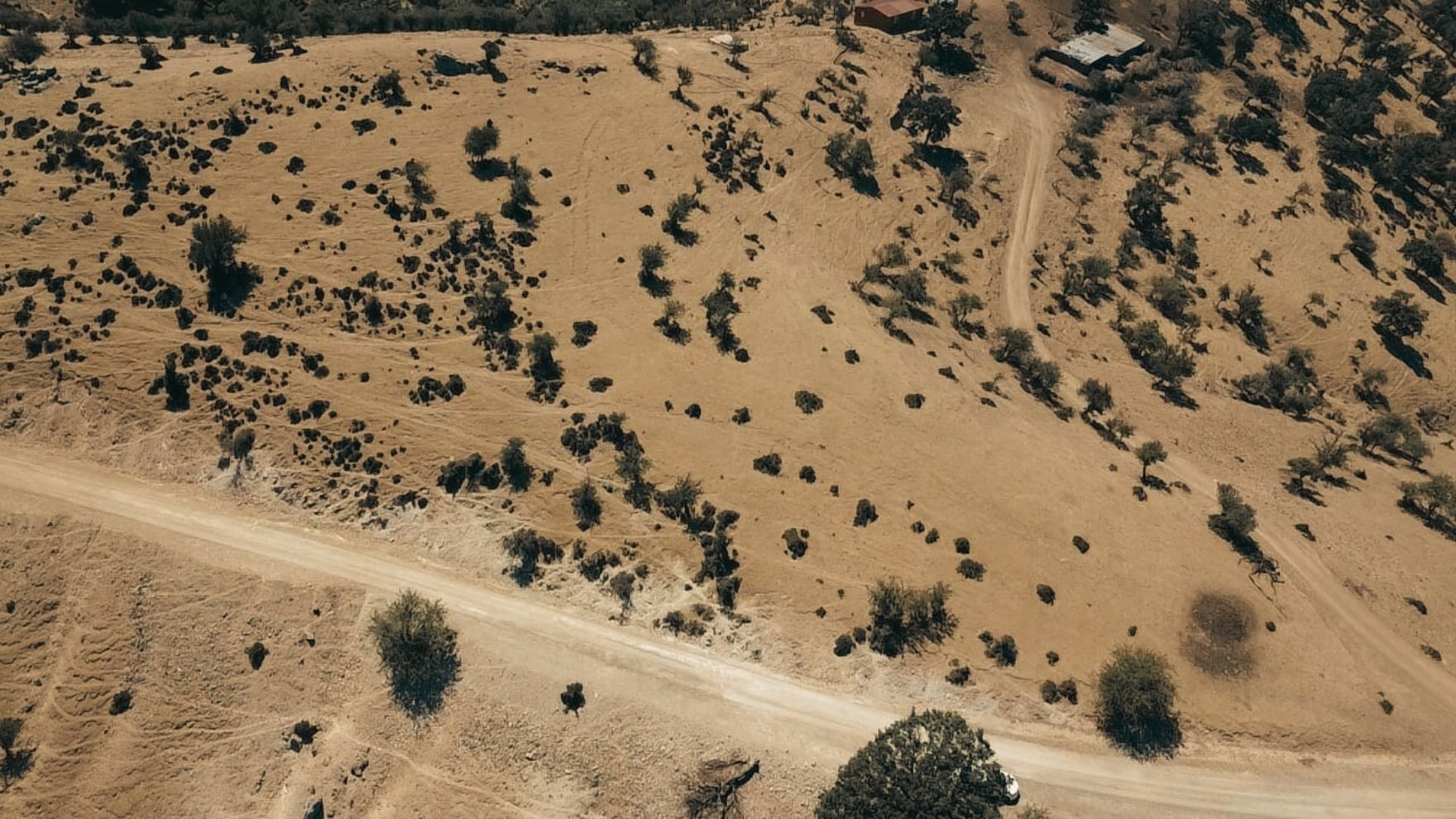 ÇANAKKALE AYVACIK KESTANELİK KÖYÜ 9.324 M2 SATILIK TARLA - ÇANAKKALE AYVACIK KESTANELİK KÖYÜ, KÜÇÜK KESTANELİK MEVKİİ - undefined undefined - Thumbnail