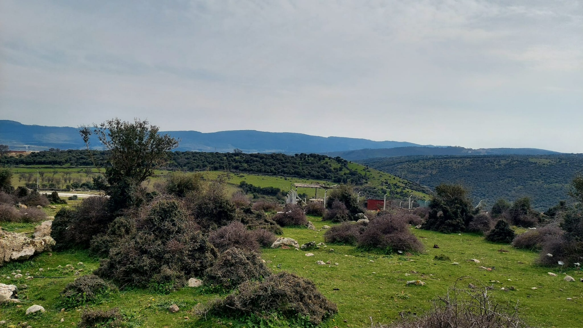Çanakkale Ayvacık Hamdibey’de Satılık İmarlı Arsa - ÇANAKKALE AYVACIK HAMDİBEY MAHALLESİ - undefined undefined - Thumbnail