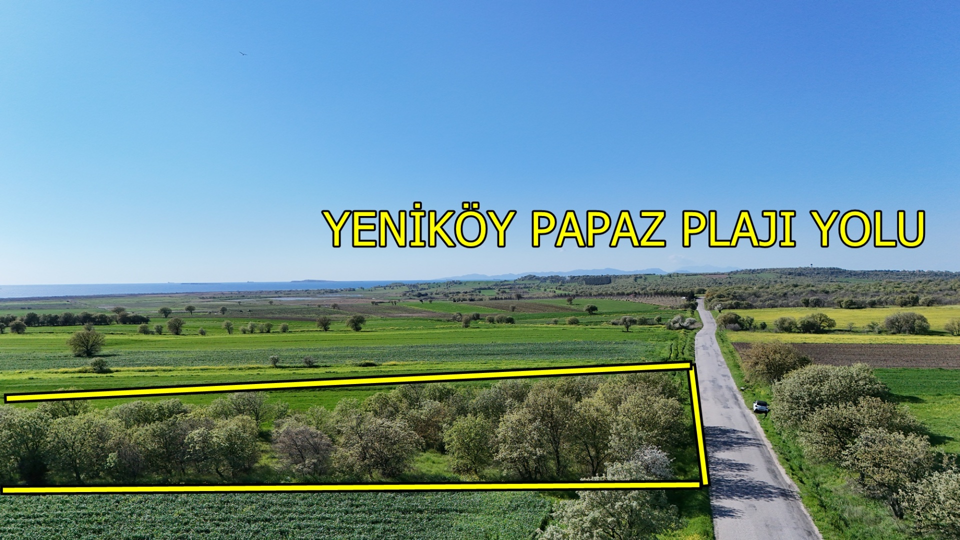 ÇANAKKALE EZİNE ÜVECİK KÖYÜNDE ASFALT YOLA CEPHELİ 16.268 M2 TARLAMIZ SATILIKTIR