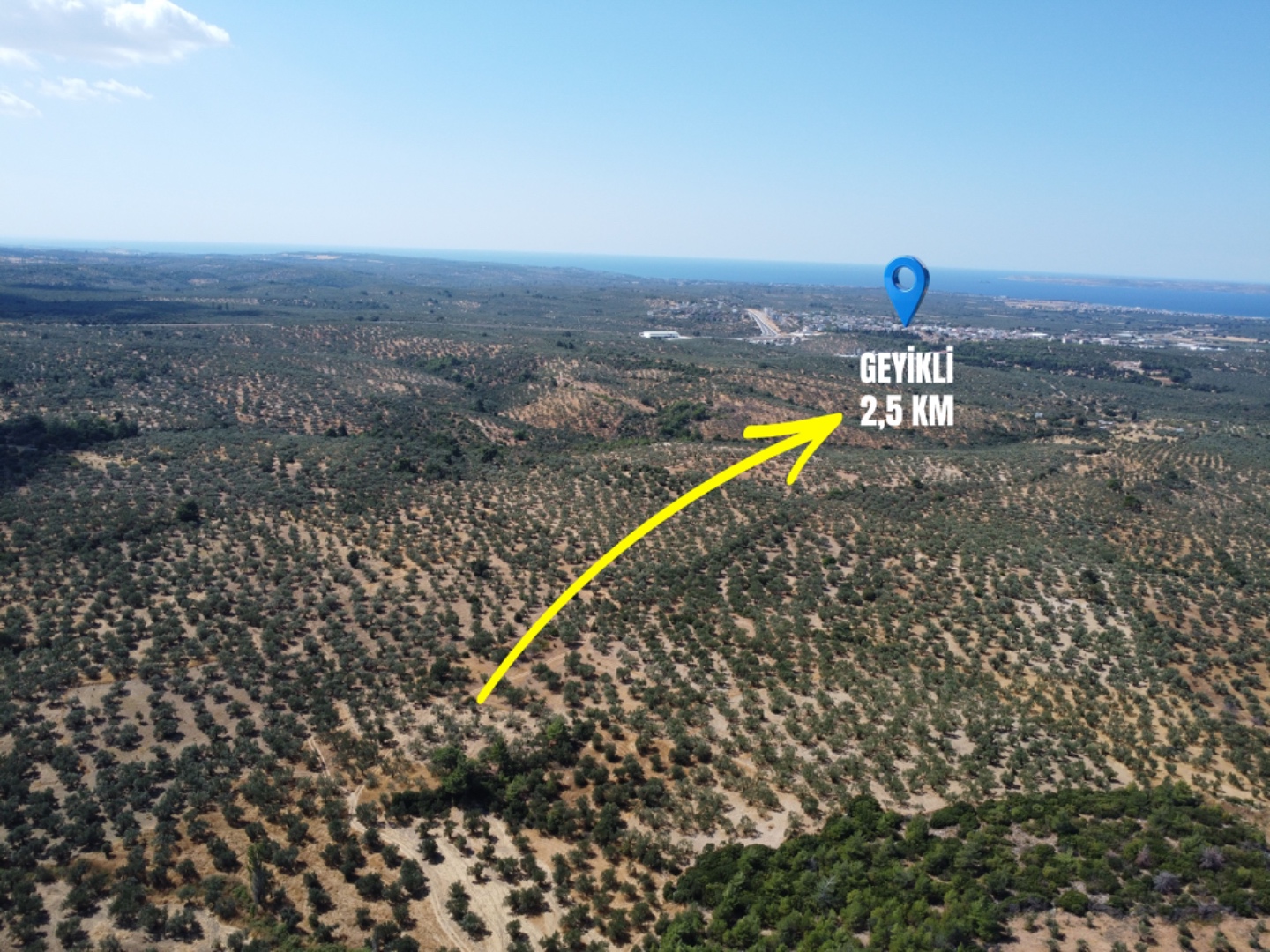  GEYİKLİ DARIKÖY'DE 4.933m² YATIRIMLIK ZEYTİNLİK - ÇANAKKALE EZİNE DARIKÖY KÖYÜ - undefined undefined - Thumbnail