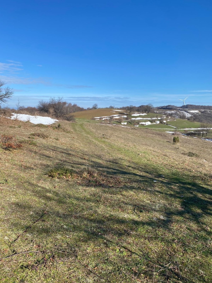 LAPSEKİ DUMANLI KÖYÜNDE YATIRIMLIK UYGUN FİYATLI TARLA 784m2 TARLA - ÇANAKKALE LAPSEKİ DUMANLI KÖYÜ - undefined [object Object]