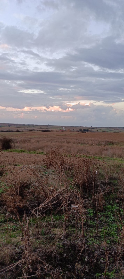 Tekirdağ Kapaklı Karaağaç 1302 m2 Konut İmarlı Satılık Arsa - TEKİRDAĞ KAPAKLI KARAAĞAÇ MAHALLESİ - undefined undefined - Thumbnail