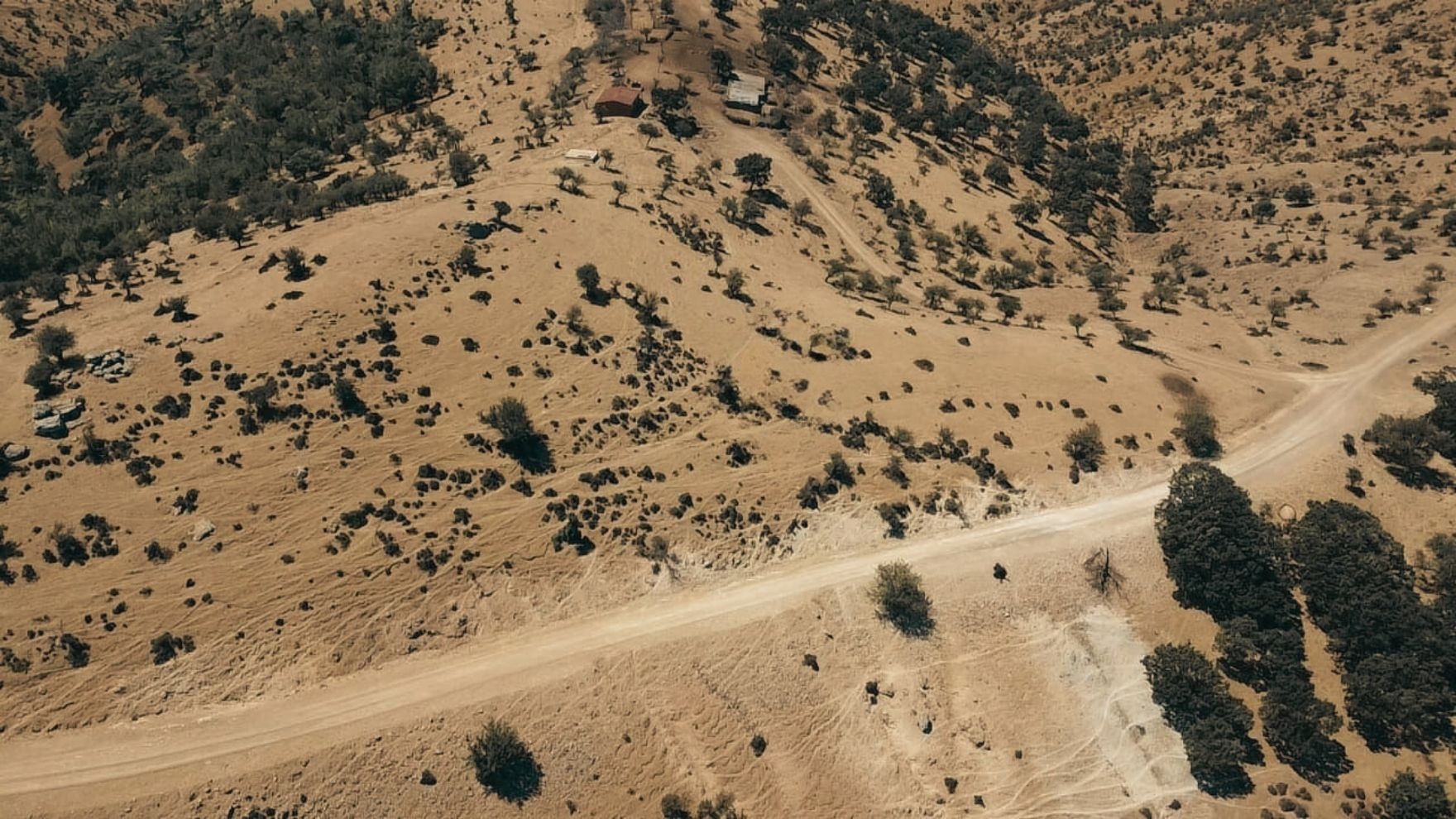 ÇANAKKALE AYVACIK KESTANELİK KÖYÜ 9.324 M2 SATILIK TARLA - ÇANAKKALE AYVACIK KESTANELİK KÖYÜ, KÜÇÜK KESTANELİK MEVKİİ - undefined undefined - Thumbnail