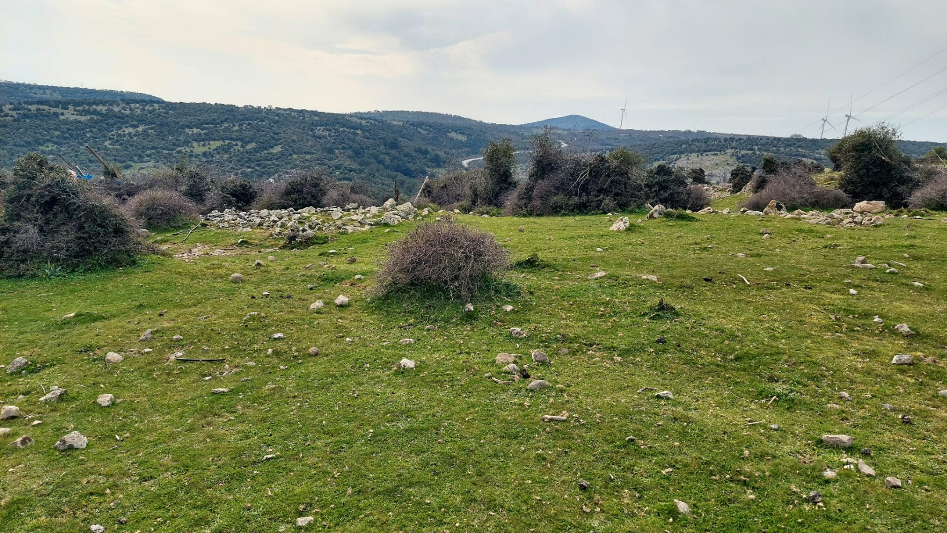 Çanakkale Ayvacık Hamdibey’de Satılık İmarlı Arsa - ÇANAKKALE AYVACIK HAMDİBEY MAHALLESİ - undefined undefined - Thumbnail