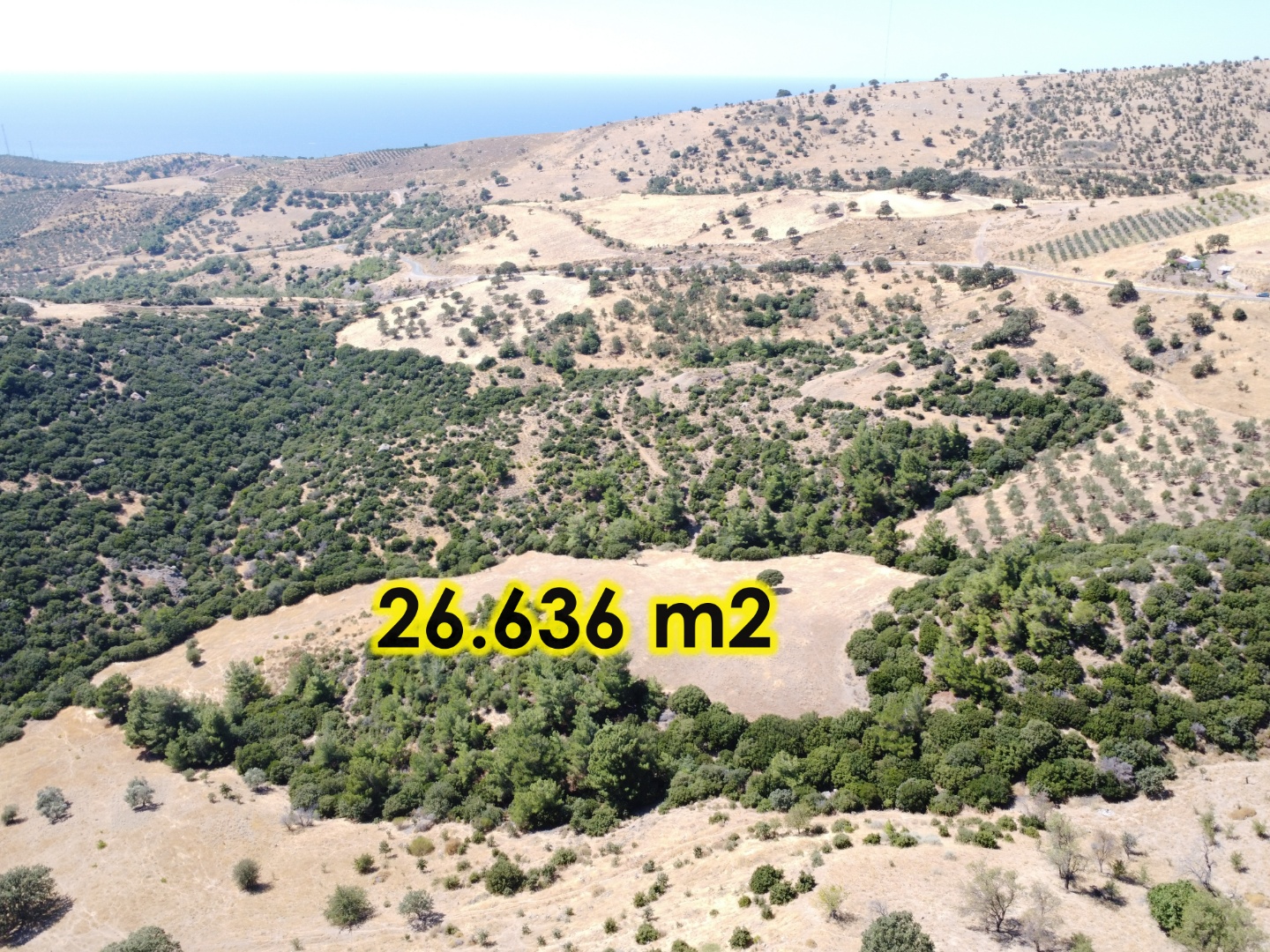AYVACIK KÖSEDEREDE SATILIK TARLA - ÇANAKKALE AYVACIK KÖSEDERE KÖYÜ, MERKEZ 1 MEVKİİ - undefined undefined - Thumbnail