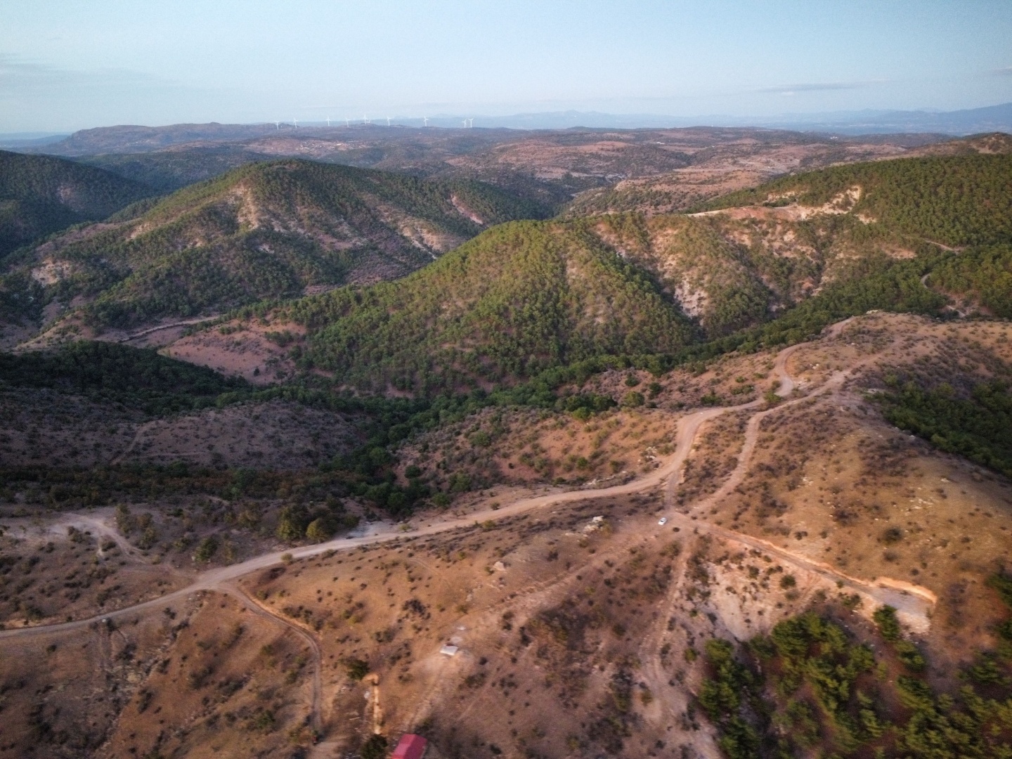 ÇANAKKALE AYVACIK KESTANELİK KÖYÜ 9.324 M2 SATILIK TARLA - ÇANAKKALE AYVACIK KESTANELİK KÖYÜ, KÜÇÜK KESTANELİK MEVKİİ - undefined undefined - Thumbnail