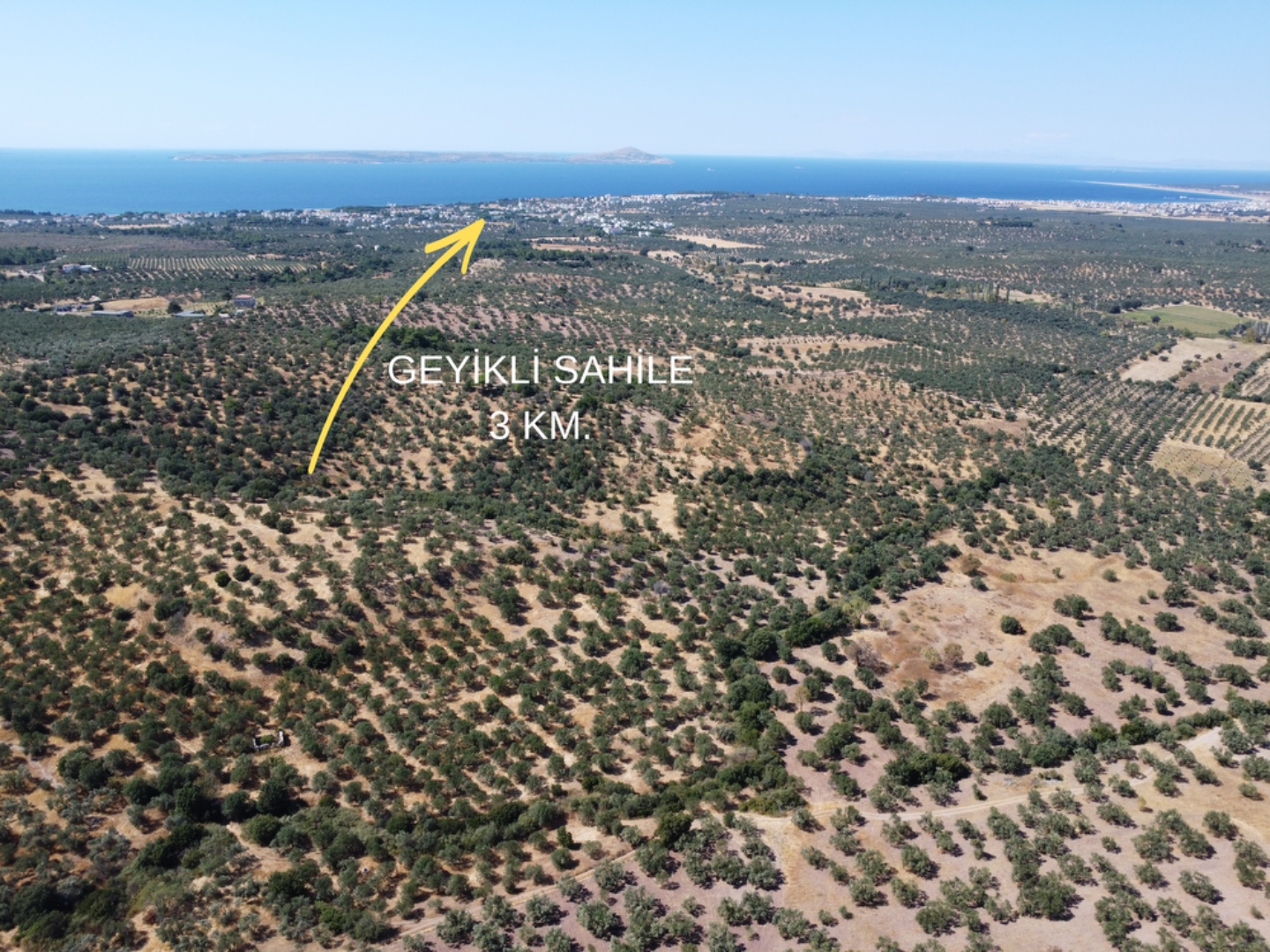 EZİNE KEMALLI ODUNLUK İSKELESİ MEVKİİNDE 9.678m² YATIRIMLIK ZEYTİNLİK - ÇANAKKALE EZİNE KEMALLI KÖYÜ - undefined undefined - Thumbnail
