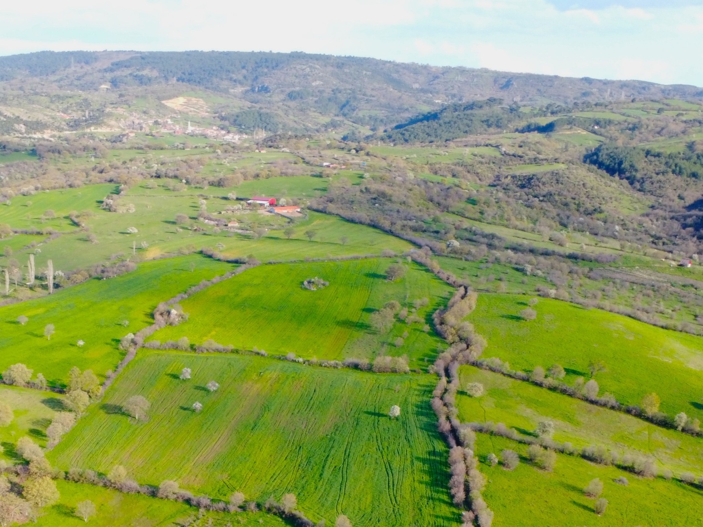 ÇANAKKALE AYVACIK SÜLEYMANKÖYDE YATIRIMLIK TARLA - ÇANAKKALE AYVACIK SÜLEYMANKÖY KÖYÜ - undefined [object Object]