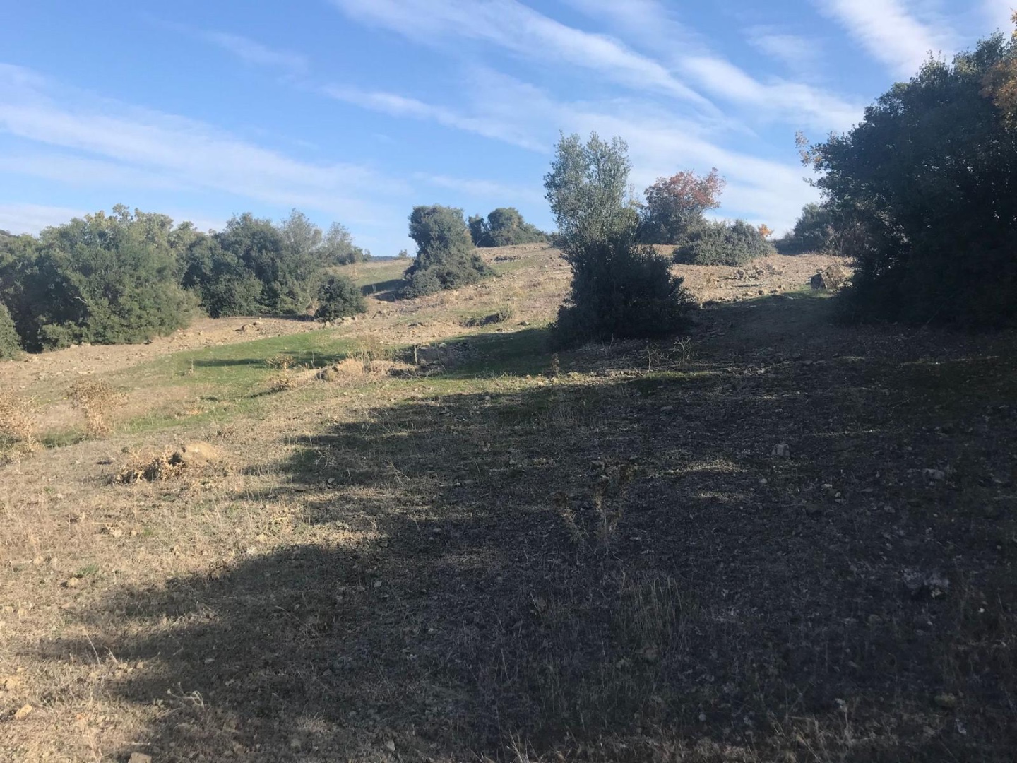 LAPSEKİ ÇAMYURT KÖYÜNDE YATIRIMA UYGUN 5.584 m2 TARLA - ÇANAKKALE LAPSEKİ ÇAMYURT KÖYÜ - undefined [object Object]