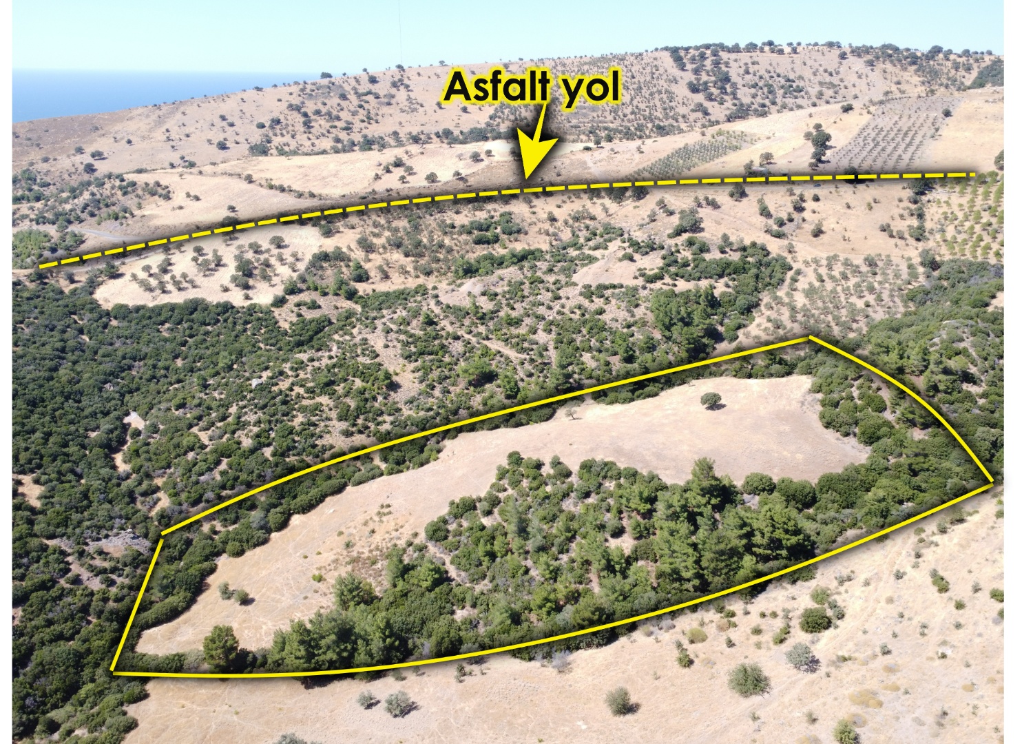 AYVACIK KÖSEDEREDE SATILIK TARLA - ÇANAKKALE AYVACIK KÖSEDERE KÖYÜ, MERKEZ 1 MEVKİİ - undefined undefined - Thumbnail
