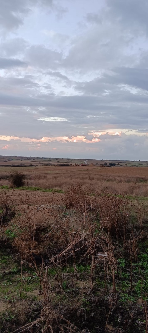 Tekirdağ Kapaklı Karaağaç 1302 m2 Konut İmarlı Satılık Arsa - TEKİRDAĞ KAPAKLI KARAAĞAÇ MAHALLESİ - undefined undefined - Thumbnail
