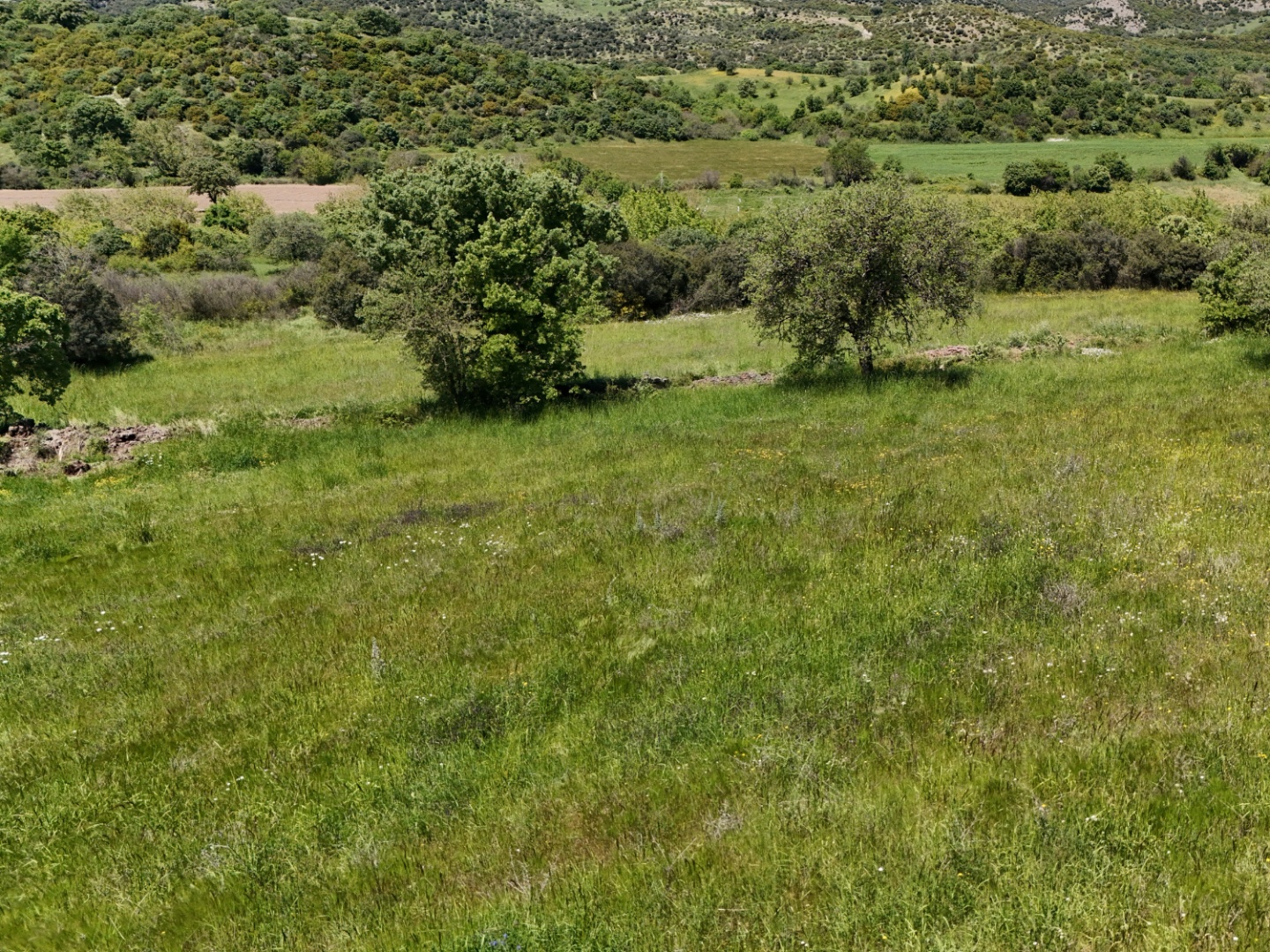 ÇANAKKALE, EZİNE, BAHÇELİ KÖYÜ'NDE BARAJA YAKIN, SULU TARIM VEYA ÇİFTLİK İÇİN UYGUN, KADASTRAL YOLU OLAN TARLA - ÇANAKKALE EZİNE BAHÇELİ KÖYÜ - undefined undefined - Thumbnail