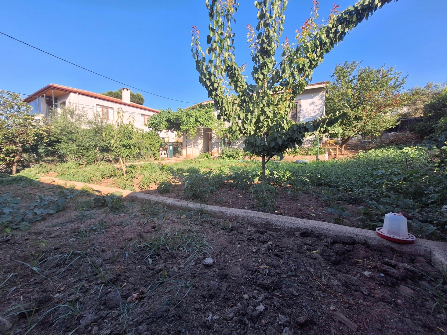 ÇANAKKALE MERKEZ SERÇİLER KÖYÜNDE SATILIK MÜSTAKİL EV  - ÇANAKKALE MERKEZ SERÇİLER KÖYÜ - undefined undefined - Thumbnail