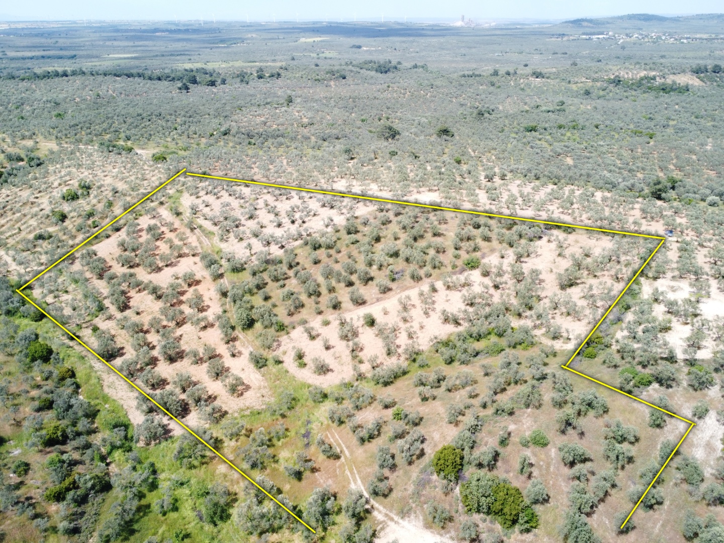 FIRSAT! GEYİKLİ DARIKÖY'DE 27.700 m² YATIRIMLIK ZEYTİNLİK