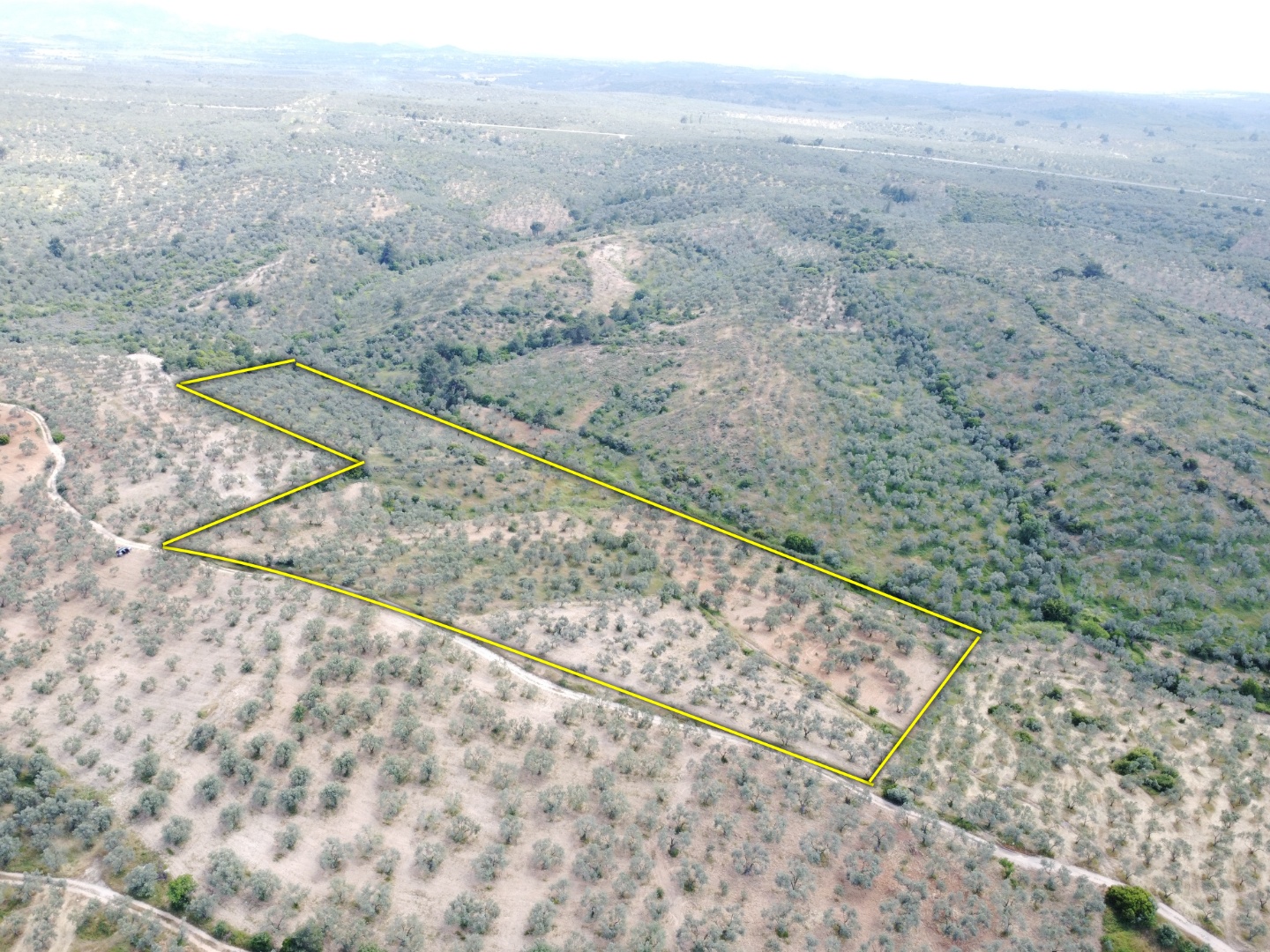FIRSAT! GEYİKLİ DARIKÖY'DE 27.700 m² YATIRIMLIK ZEYTİNLİK - ÇANAKKALE EZİNE DARIKÖY KÖYÜ - undefined undefined - Thumbnail