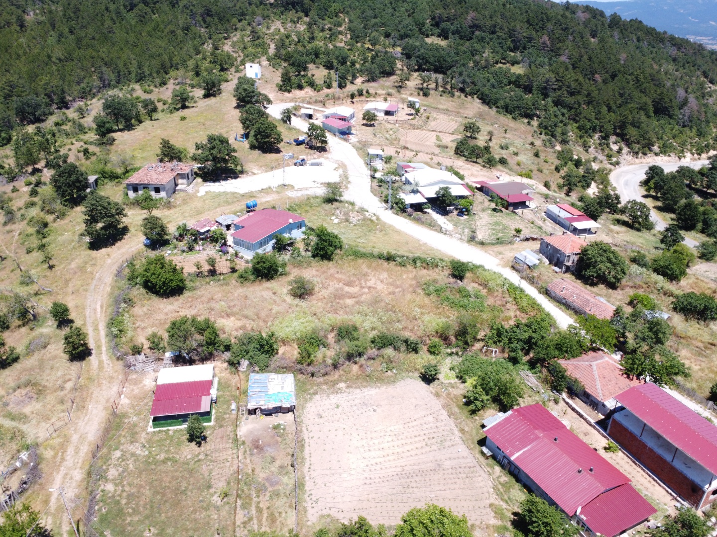 LAPSEKİ ÜÇPINARLAR KÖYÜNDE %40 İMARLI 1518 M2  SATILIK ARSA - ÇANAKKALE LAPSEKİ ÜÇPINAR KÖYÜ - undefined undefined - Thumbnail