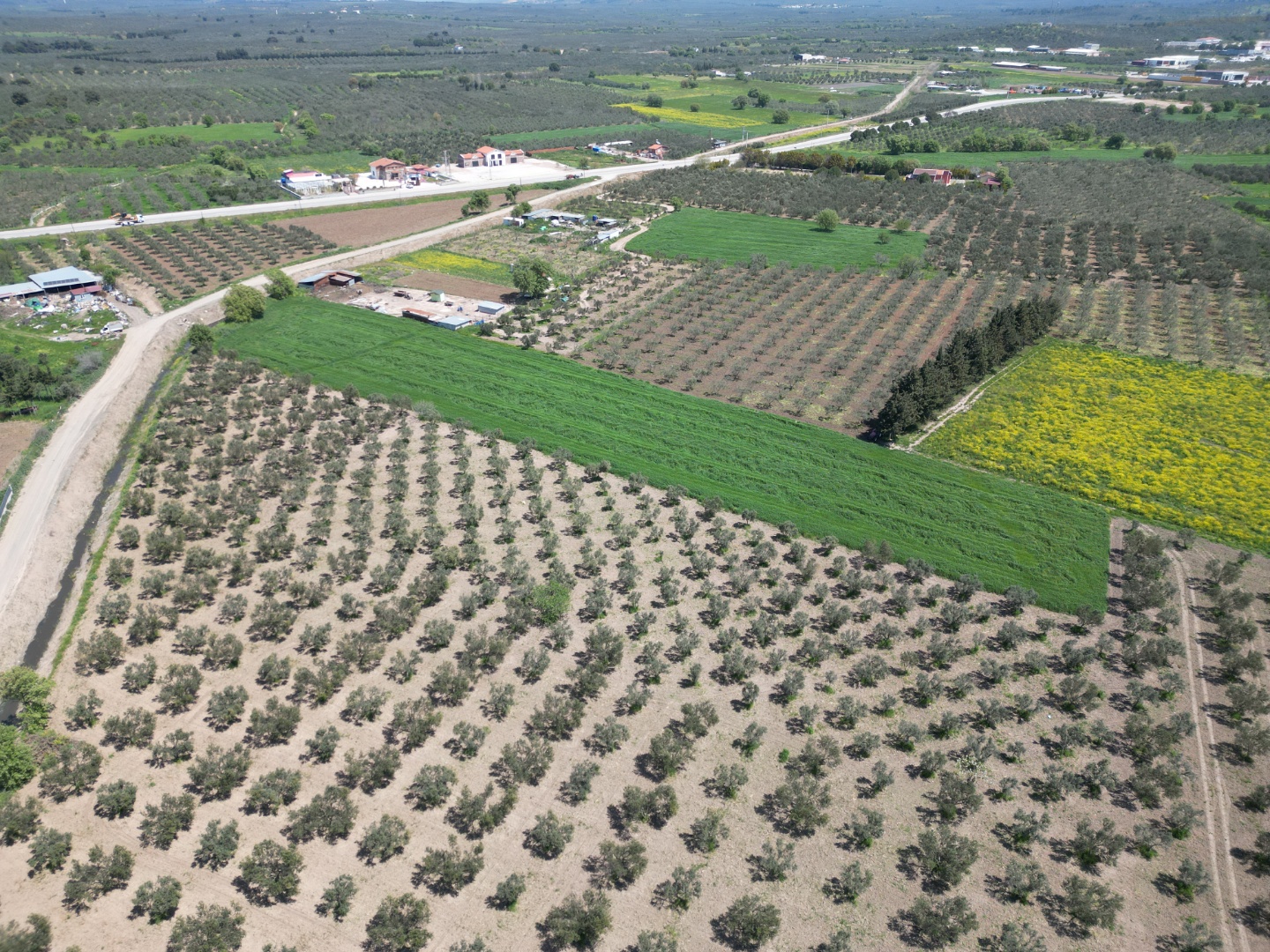 ÇANAKKALE GEYİKLİDE 9.368 M2 SATILIK TARLA - ÇANAKKALE EZİNE GEYİKLİ BELDESİ, HÜRRİYET MAHALLESİ - undefined undefined - Thumbnail