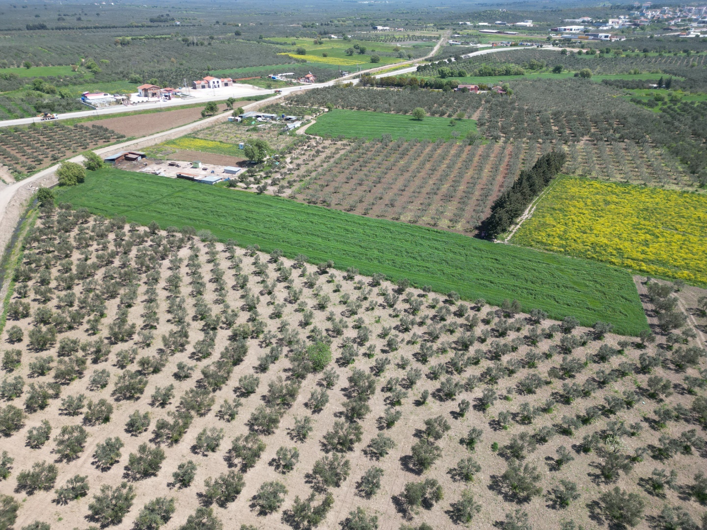 ÇANAKKALE GEYİKLİDE 9.368 M2 SATILIK TARLA - ÇANAKKALE EZİNE GEYİKLİ BELDESİ, HÜRRİYET MAHALLESİ - undefined undefined - Thumbnail