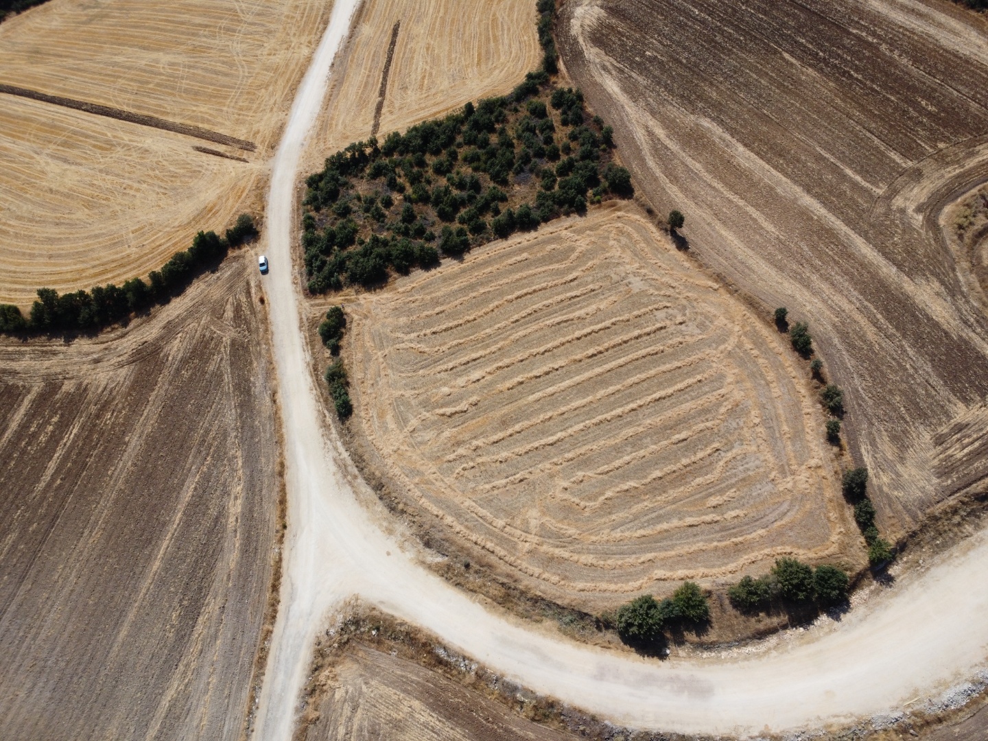 BAYRAMİÇ BEZİRGANLAR KÖYÜNDE ANA YOLA ÇOK YAKIN SATILIK 10263 M2 SATILIK FIRSAT TARLA ! - ÇANAKKALE BAYRAMİÇ BEZİRGANLAR KÖYÜ - undefined undefined - Thumbnail