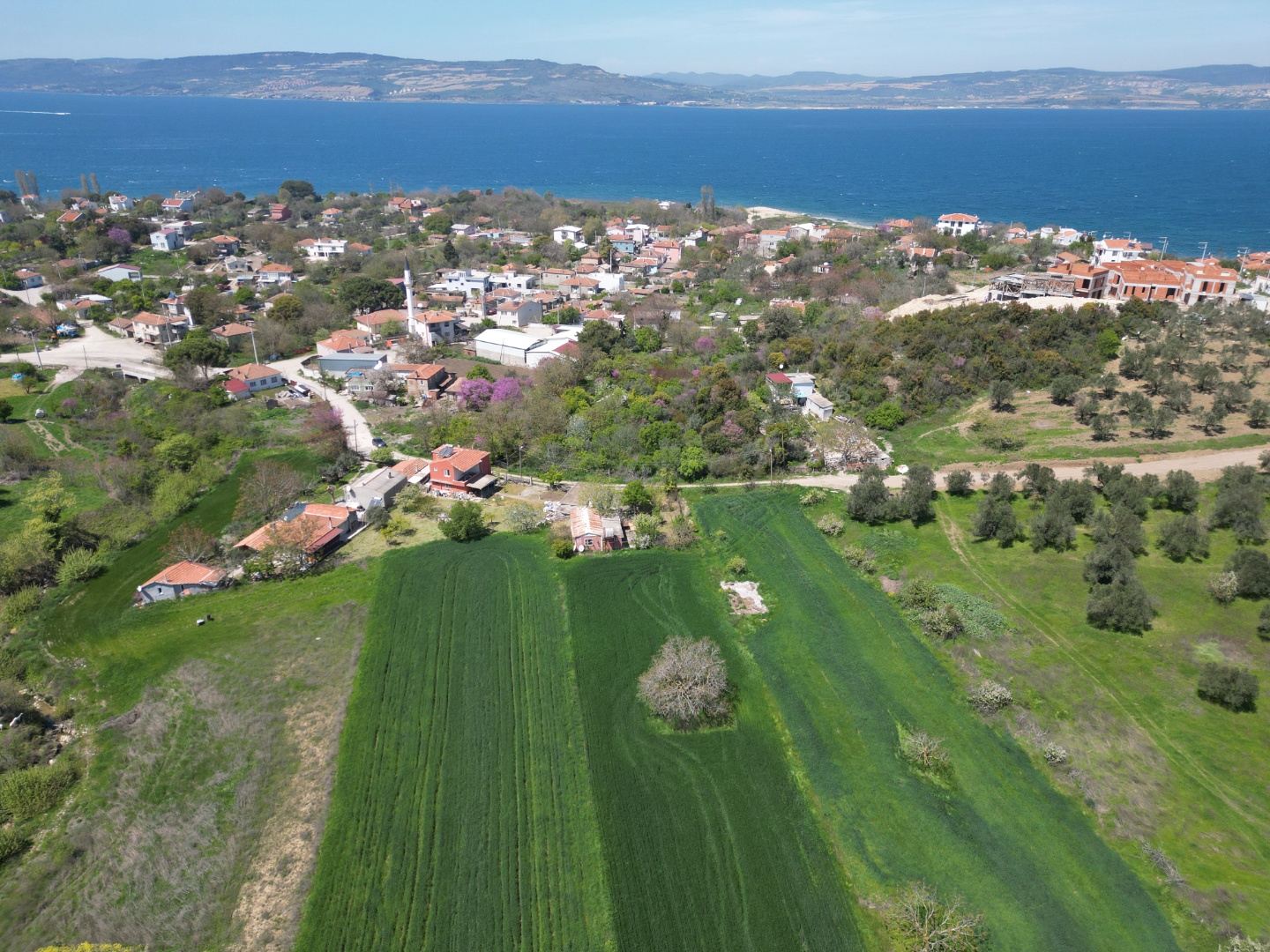 ÇANAKKALE LAPSEKİ SULUCA'DA SATILIK 497M2 KÖYİÇİ İMARLI ARSA - ÇANAKKALE LAPSEKİ SULUCA KÖYÜ - undefined undefined - Thumbnail