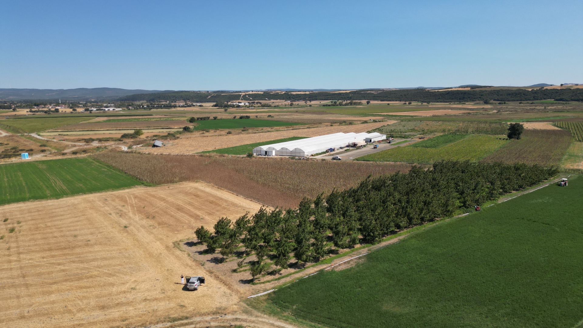 ÇANAKKALE MERKEZ HALİLELİ KÖYÜ NDE 5.520 M2 CEVİZLİK - ÇANAKKALE MERKEZ HALİLELİ KÖYÜ - undefined undefined - Thumbnail