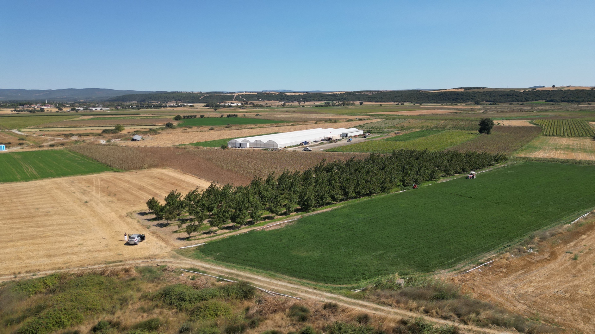 ÇANAKKALE MERKEZ HALİLELİ KÖYÜ NDE 5.520 M2 CEVİZLİK - ÇANAKKALE MERKEZ HALİLELİ KÖYÜ - undefined undefined - Thumbnail