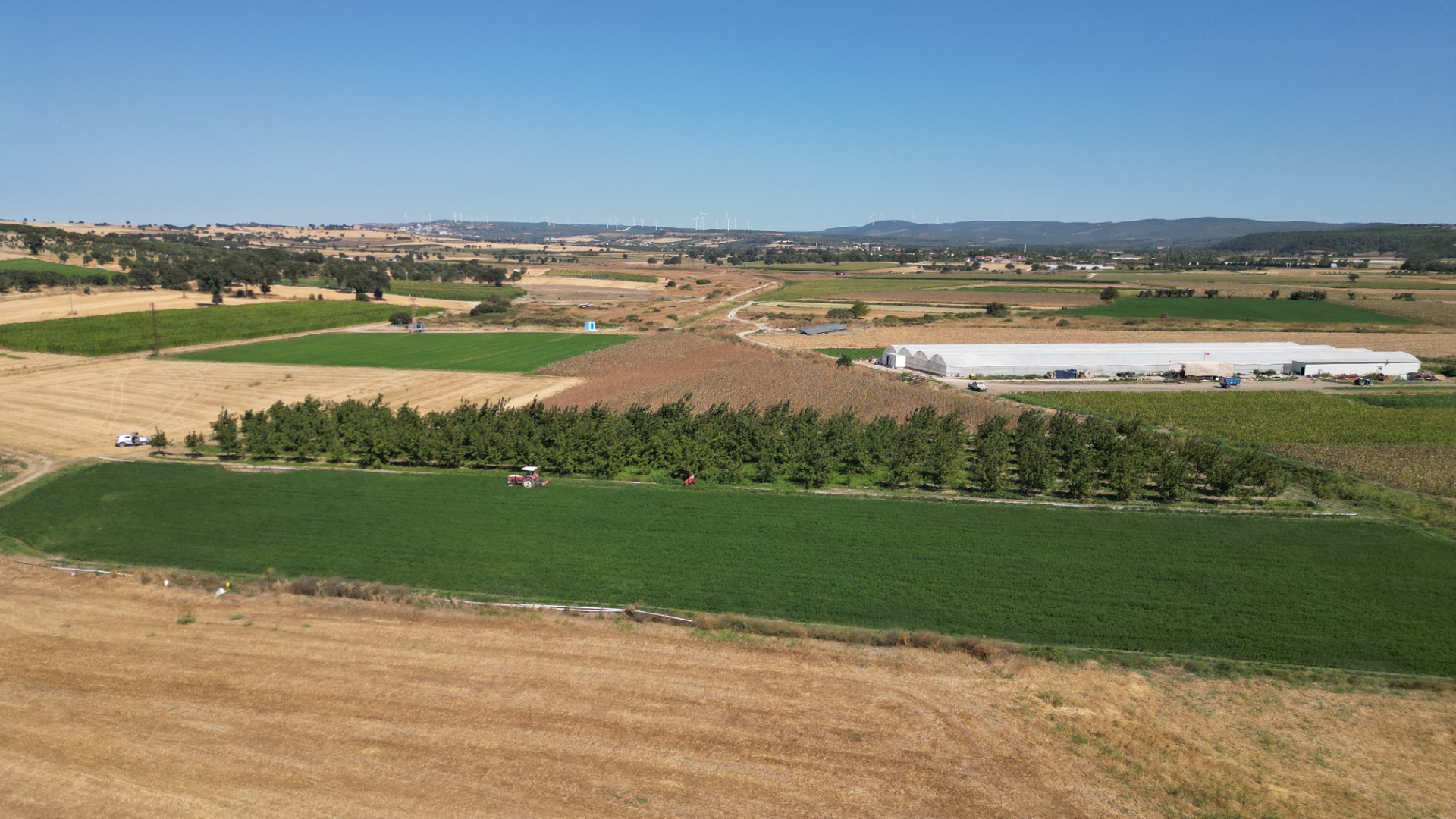 ÇANAKKALE MERKEZ HALİLELİ KÖYÜ NDE 5.520 M2 CEVİZLİK - ÇANAKKALE MERKEZ HALİLELİ KÖYÜ - undefined undefined - Thumbnail
