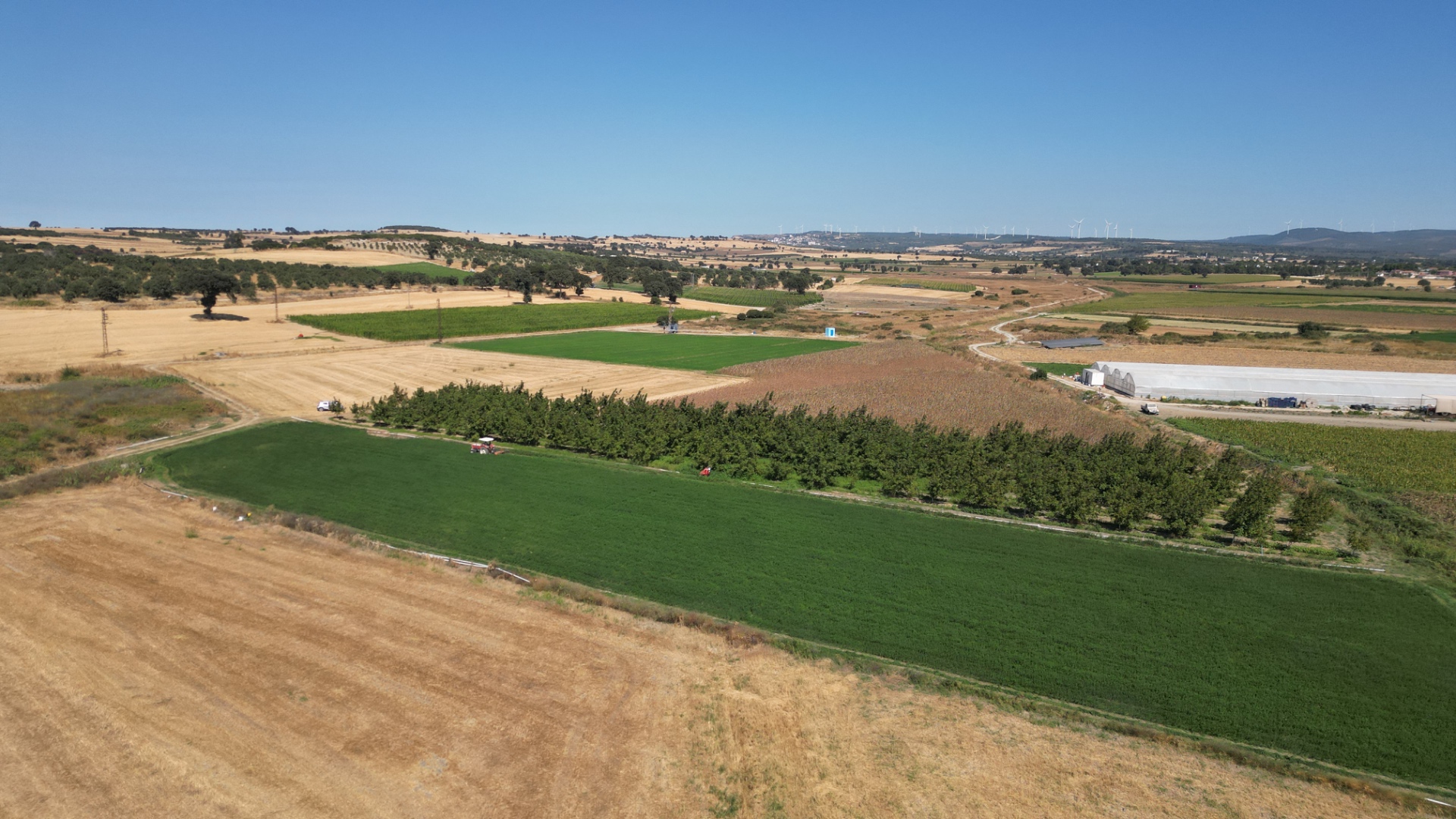 ÇANAKKALE MERKEZ HALİLELİ KÖYÜ NDE 5.520 M2 CEVİZLİK - ÇANAKKALE MERKEZ HALİLELİ KÖYÜ - undefined undefined - Thumbnail