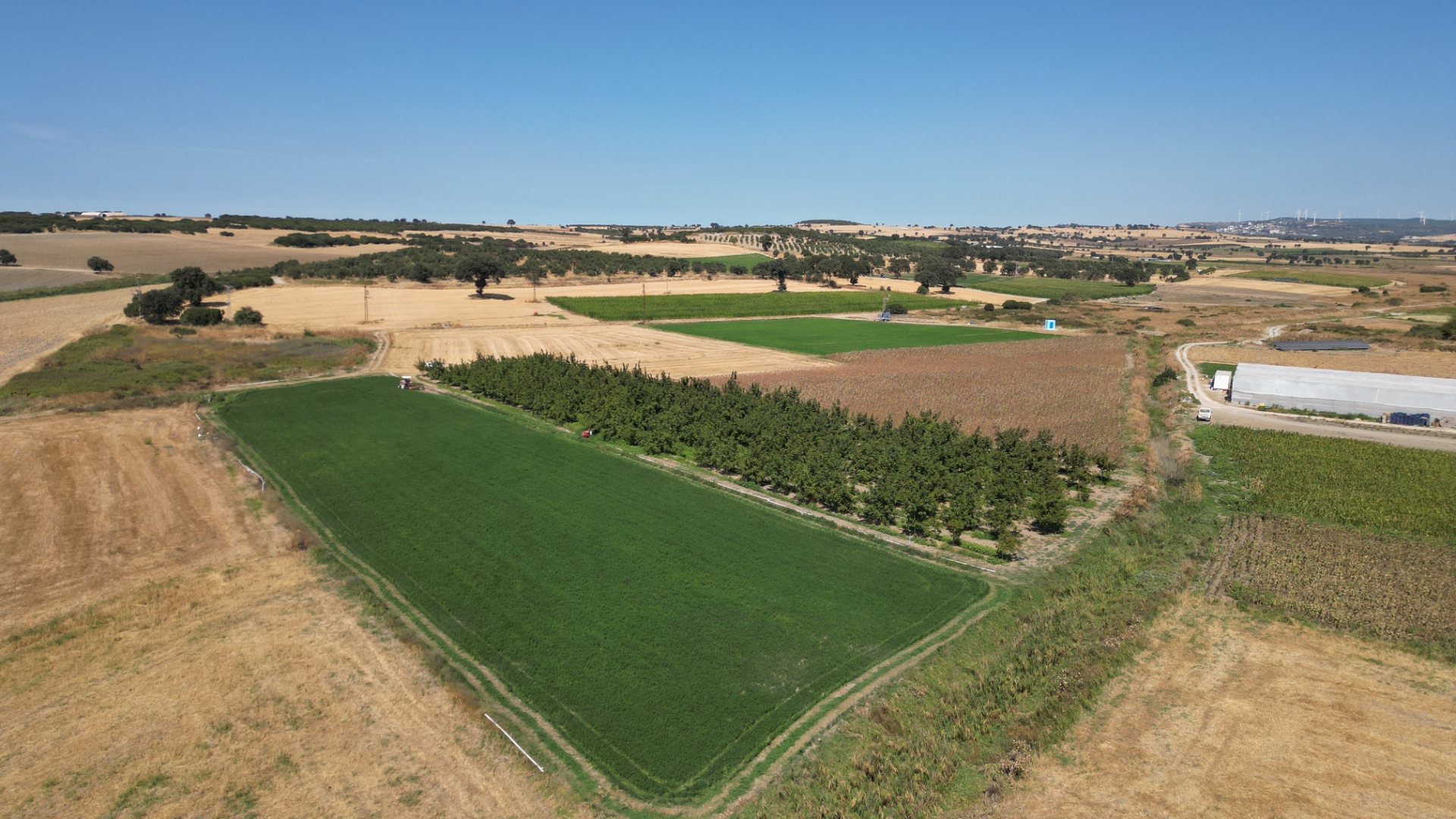 ÇANAKKALE MERKEZ HALİLELİ KÖYÜ NDE 5.520 M2 CEVİZLİK - ÇANAKKALE MERKEZ HALİLELİ KÖYÜ - undefined undefined - Thumbnail