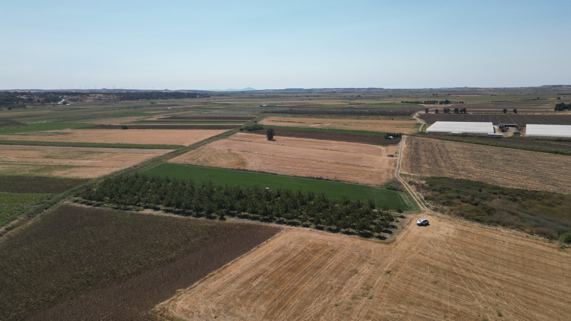 ÇANAKKALE MERKEZ HALİLELİ KÖYÜ NDE 5.520 M2 CEVİZLİK - ÇANAKKALE MERKEZ HALİLELİ KÖYÜ - undefined undefined - Thumbnail
