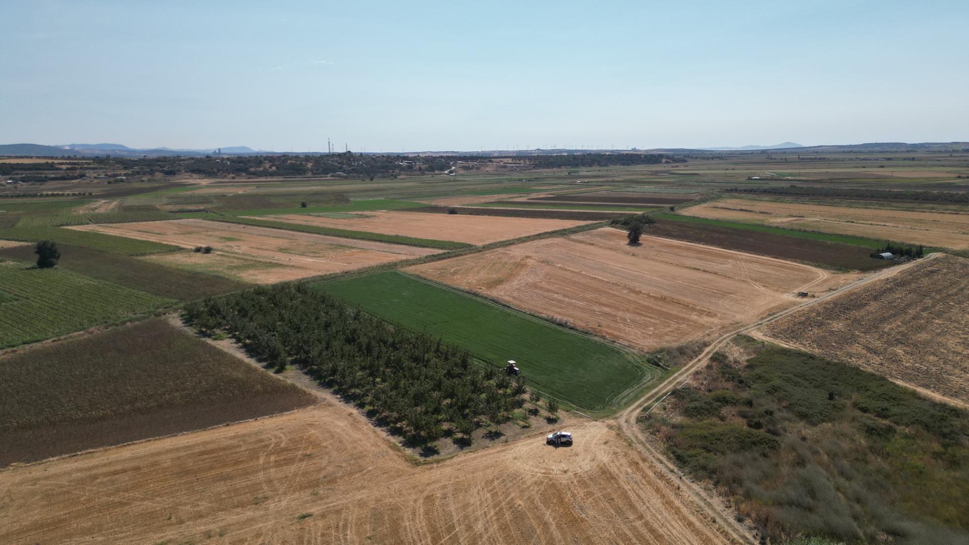 ÇANAKKALE MERKEZ HALİLELİ KÖYÜ NDE 5.520 M2 CEVİZLİK - ÇANAKKALE MERKEZ HALİLELİ KÖYÜ - undefined undefined - Thumbnail
