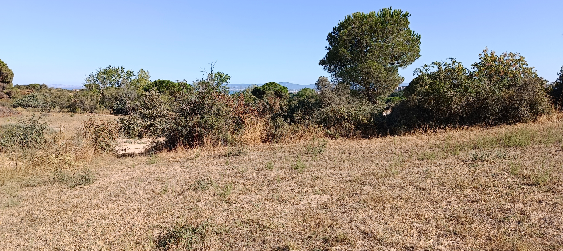 ÇANAKKALE BİGA KARABİGA ZEYTİNLİK KÖYÜ SATILIK 3.486 m2 TARLA  - ÇANAKKALE BİGA KARABİGA BELDESİ, ZEYTİNLİK MAHALLESİ - undefined undefined - Thumbnail
