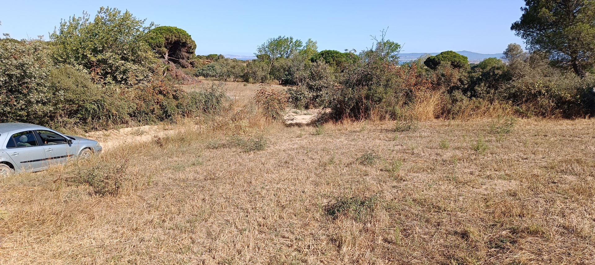 ÇANAKKALE BİGA KARABİGA ZEYTİNLİK KÖYÜ SATILIK 3.486 m2 TARLA  - ÇANAKKALE BİGA KARABİGA BELDESİ, ZEYTİNLİK MAHALLESİ - undefined undefined - Thumbnail