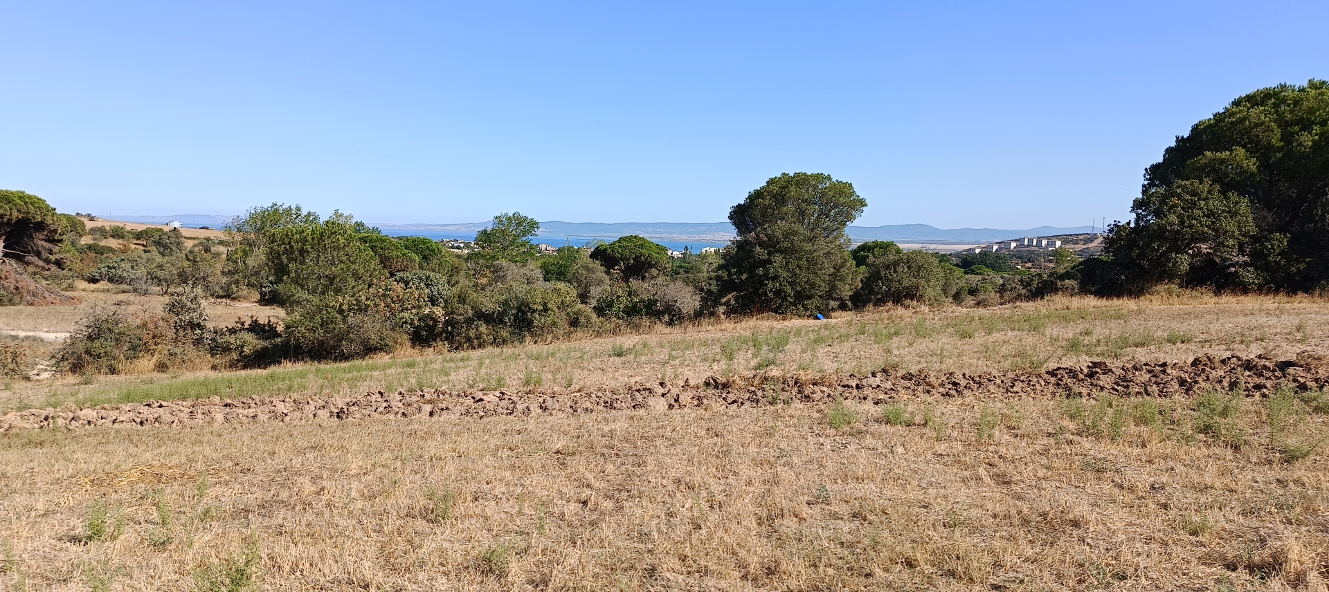 ÇANAKKALE BİGA KARABİGA ZEYTİNLİK KÖYÜ SATILIK 3.486 m2 TARLA  - ÇANAKKALE BİGA KARABİGA BELDESİ, ZEYTİNLİK MAHALLESİ - undefined undefined - Thumbnail