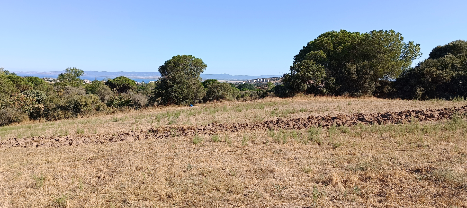 ÇANAKKALE BİGA KARABİGA ZEYTİNLİK KÖYÜ SATILIK 3.486 m2 TARLA  - ÇANAKKALE BİGA KARABİGA BELDESİ, ZEYTİNLİK MAHALLESİ - undefined undefined - Thumbnail