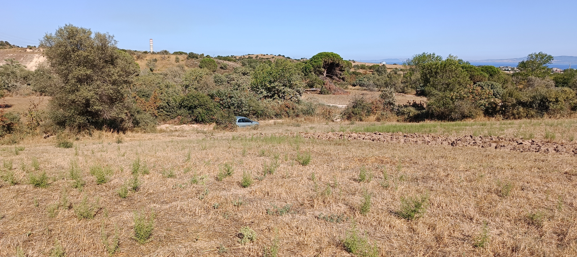 ÇANAKKALE BİGA KARABİGA ZEYTİNLİK KÖYÜ SATILIK 3.486 m2 TARLA  - ÇANAKKALE BİGA KARABİGA BELDESİ, ZEYTİNLİK MAHALLESİ - undefined undefined - Thumbnail