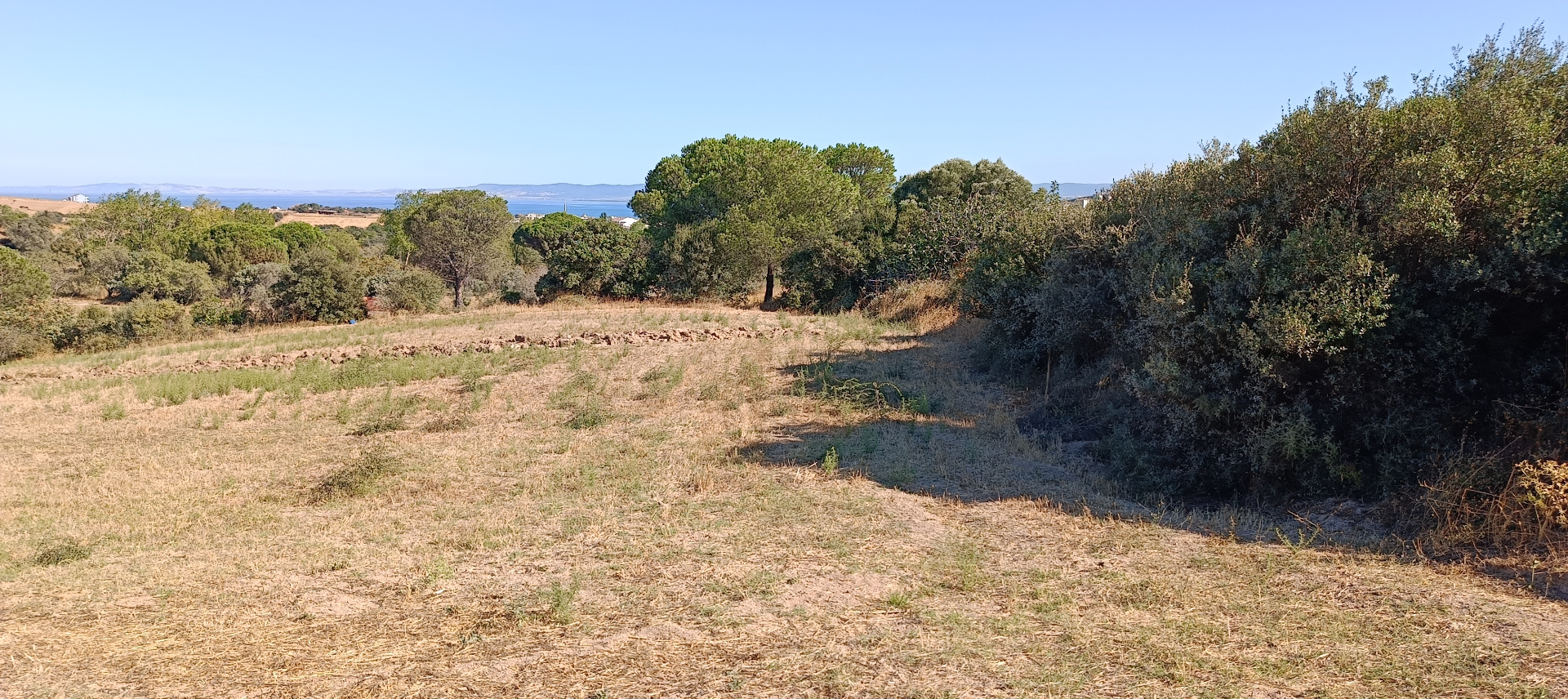 ÇANAKKALE BİGA KARABİGA ZEYTİNLİK KÖYÜ SATILIK 3.486 m2 TARLA  - ÇANAKKALE BİGA KARABİGA BELDESİ, ZEYTİNLİK MAHALLESİ - undefined undefined - Thumbnail