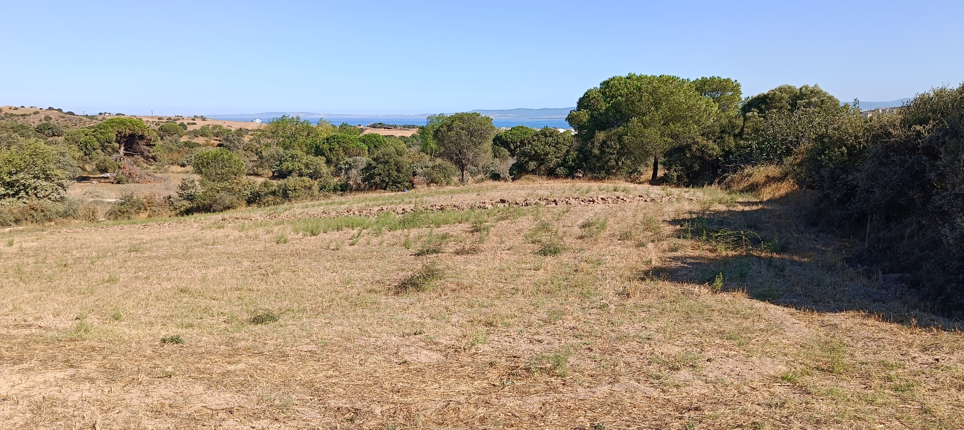 ÇANAKKALE BİGA KARABİGA ZEYTİNLİK KÖYÜ SATILIK 3.486 m2 TARLA  - ÇANAKKALE BİGA KARABİGA BELDESİ, ZEYTİNLİK MAHALLESİ - undefined undefined - Thumbnail